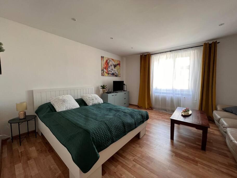 Apartman centrum Šturka view 2