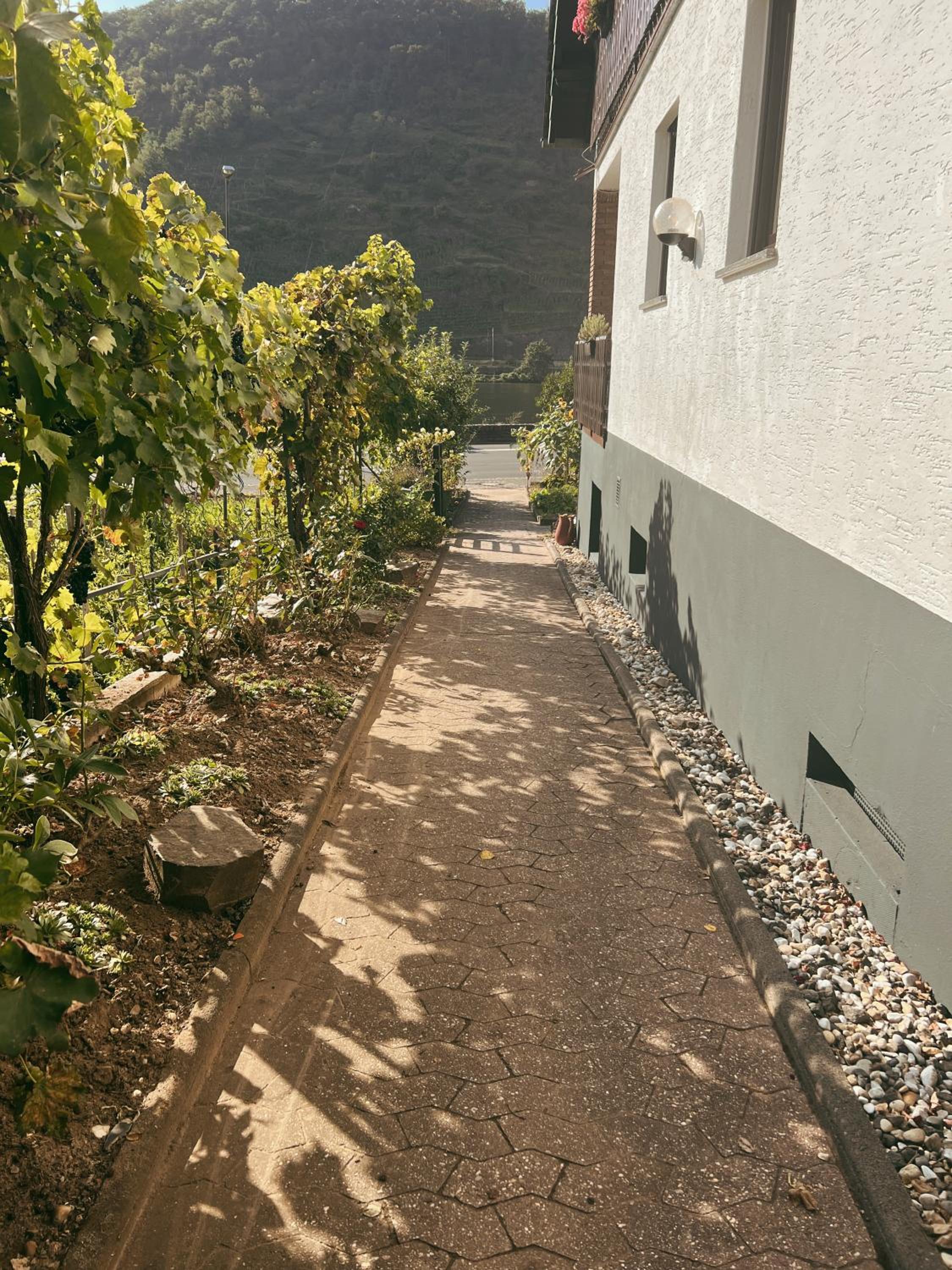 Ferienwohnung Moselflair mit direktem Blick auf die Mosel und Weinberge