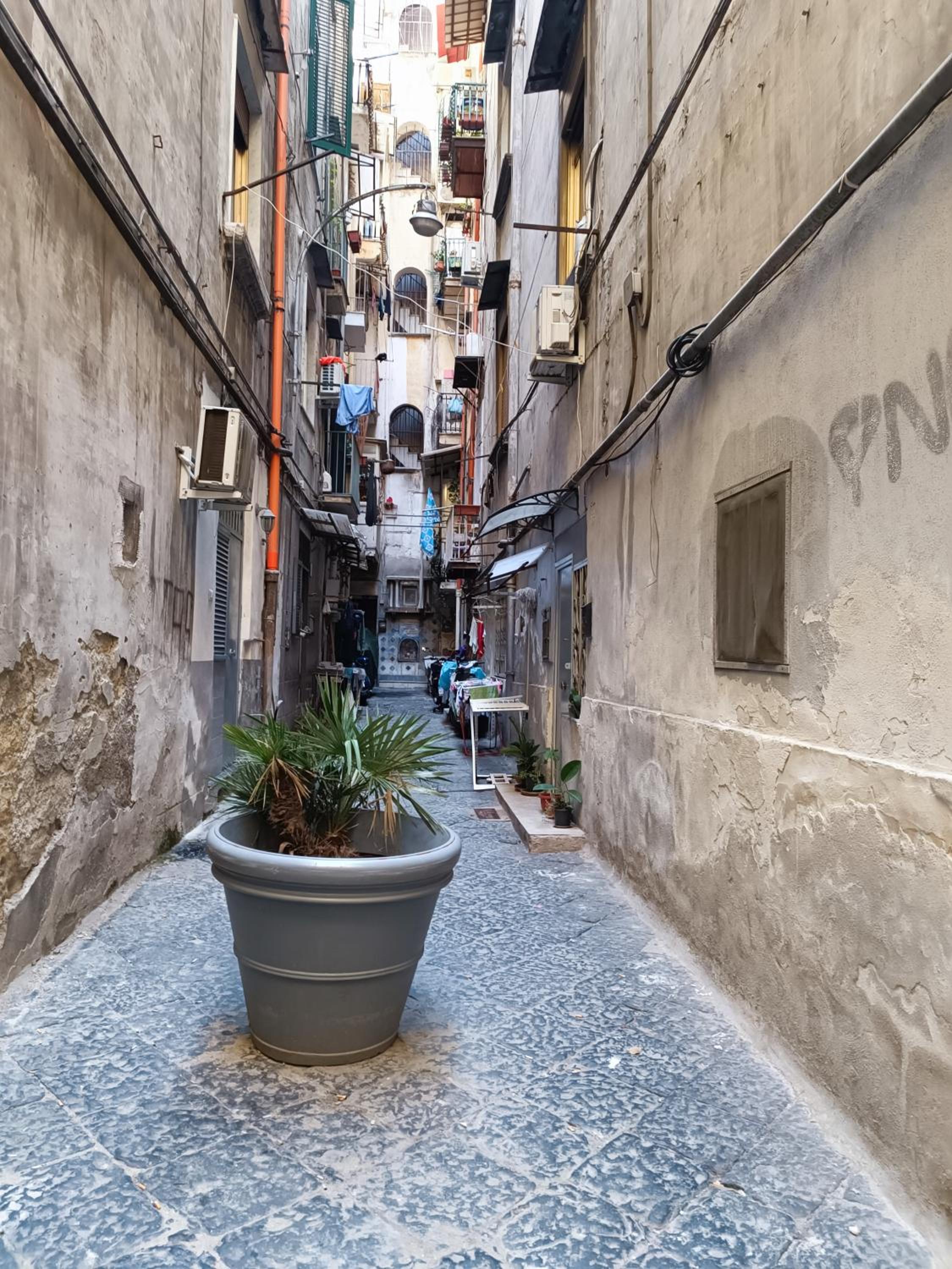 Espy Naples