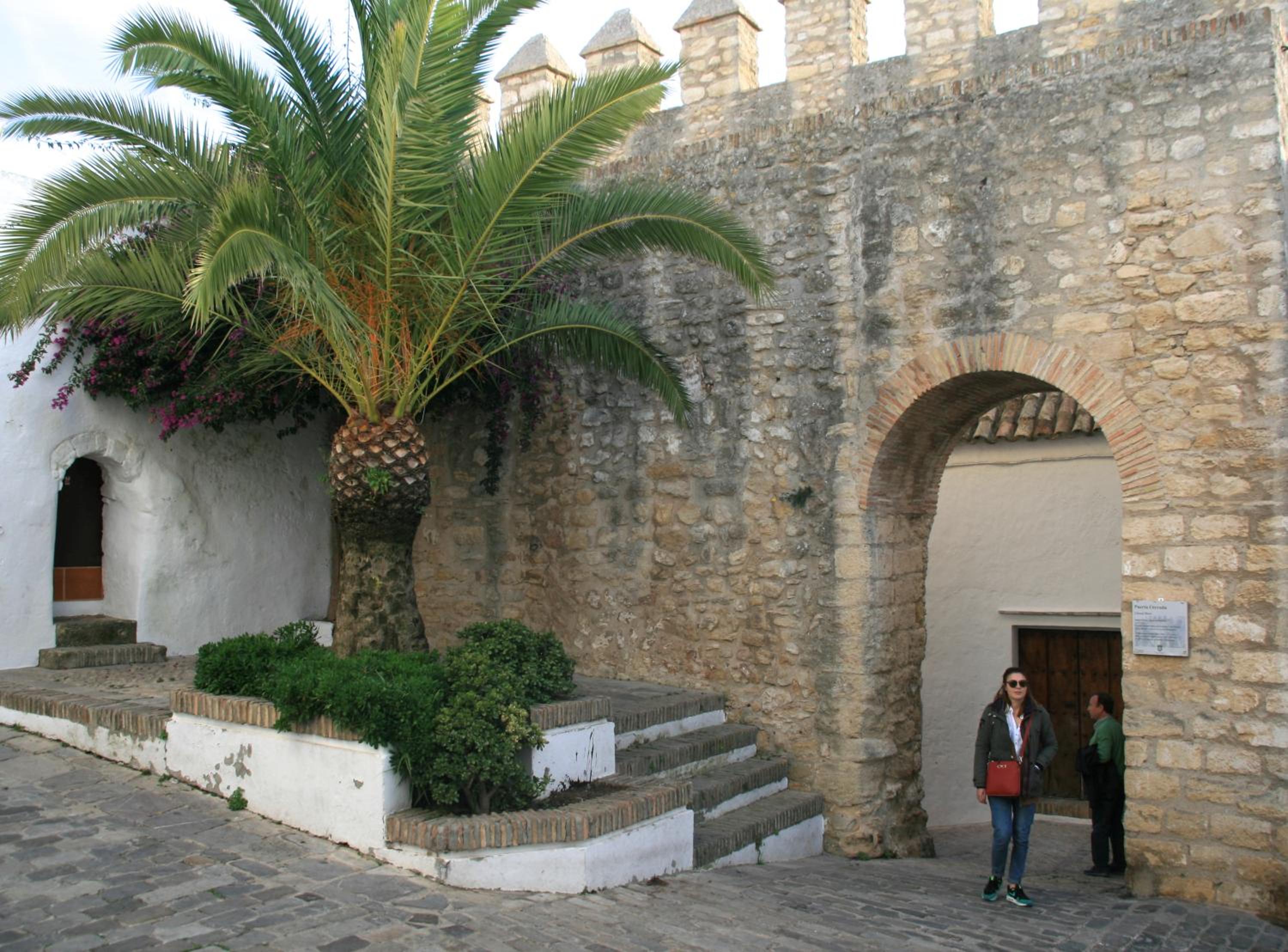 Photo 47