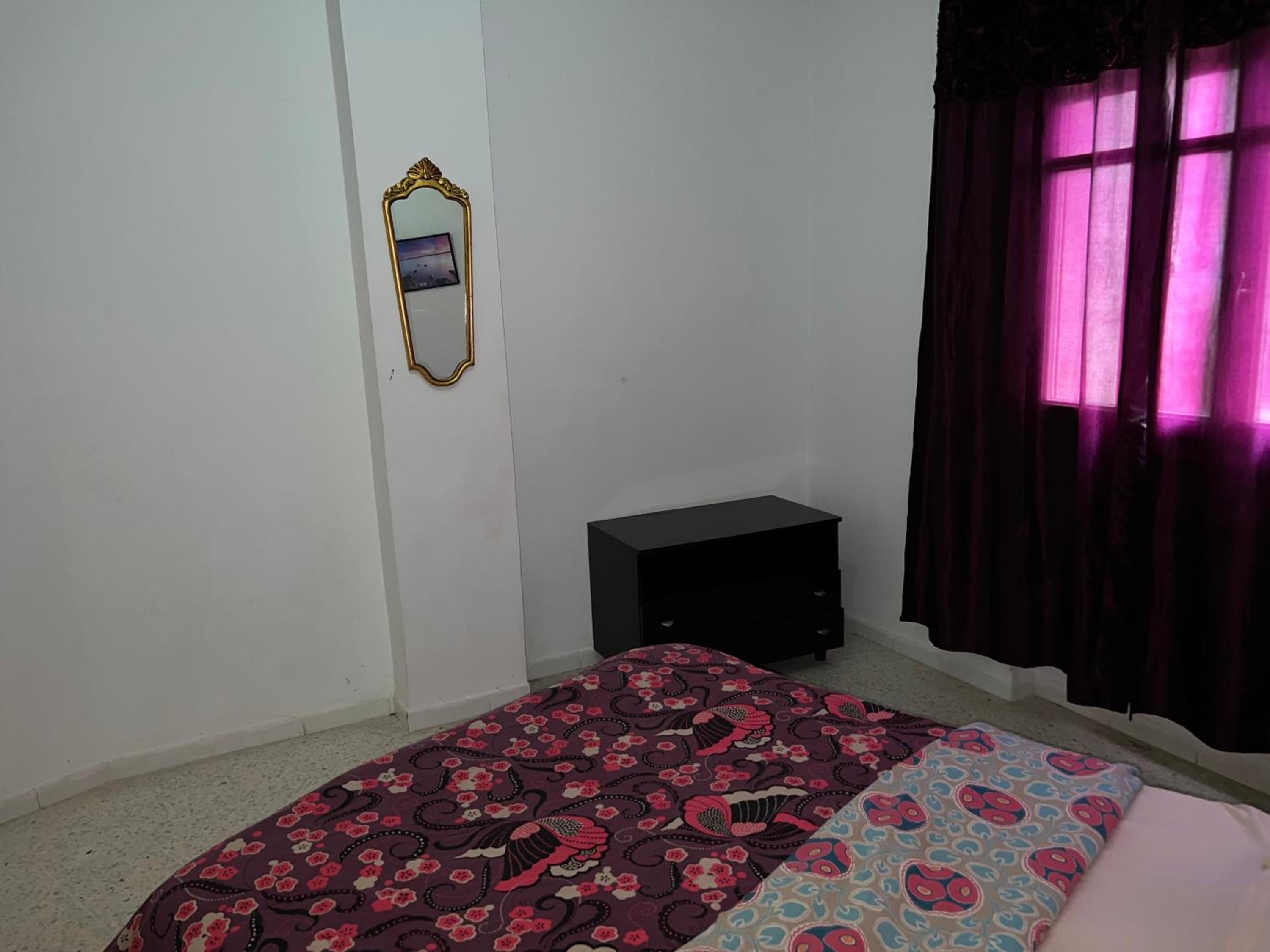 Palmeraies vacances Tunis