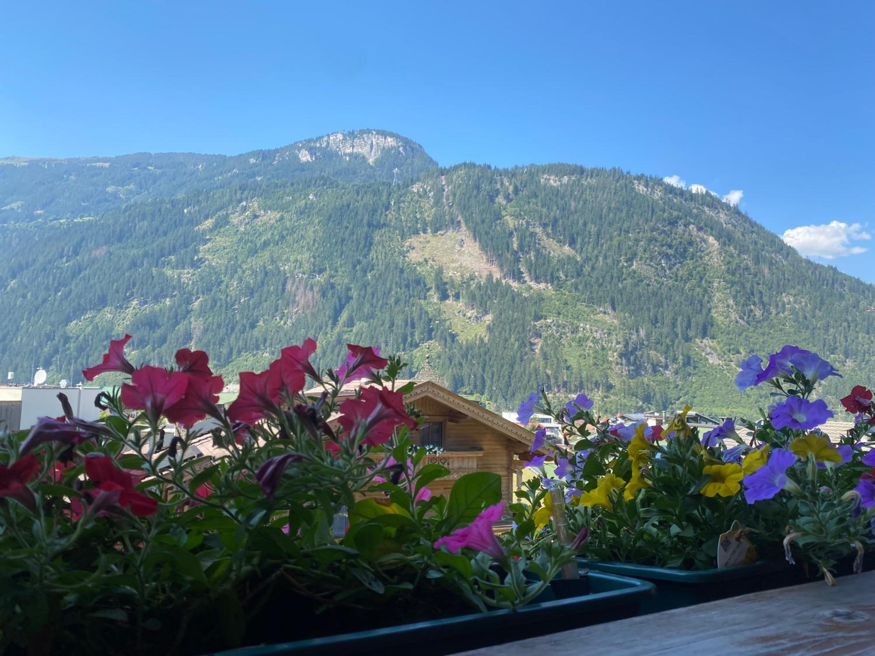 Pension Schwemberger ohne Frühstück