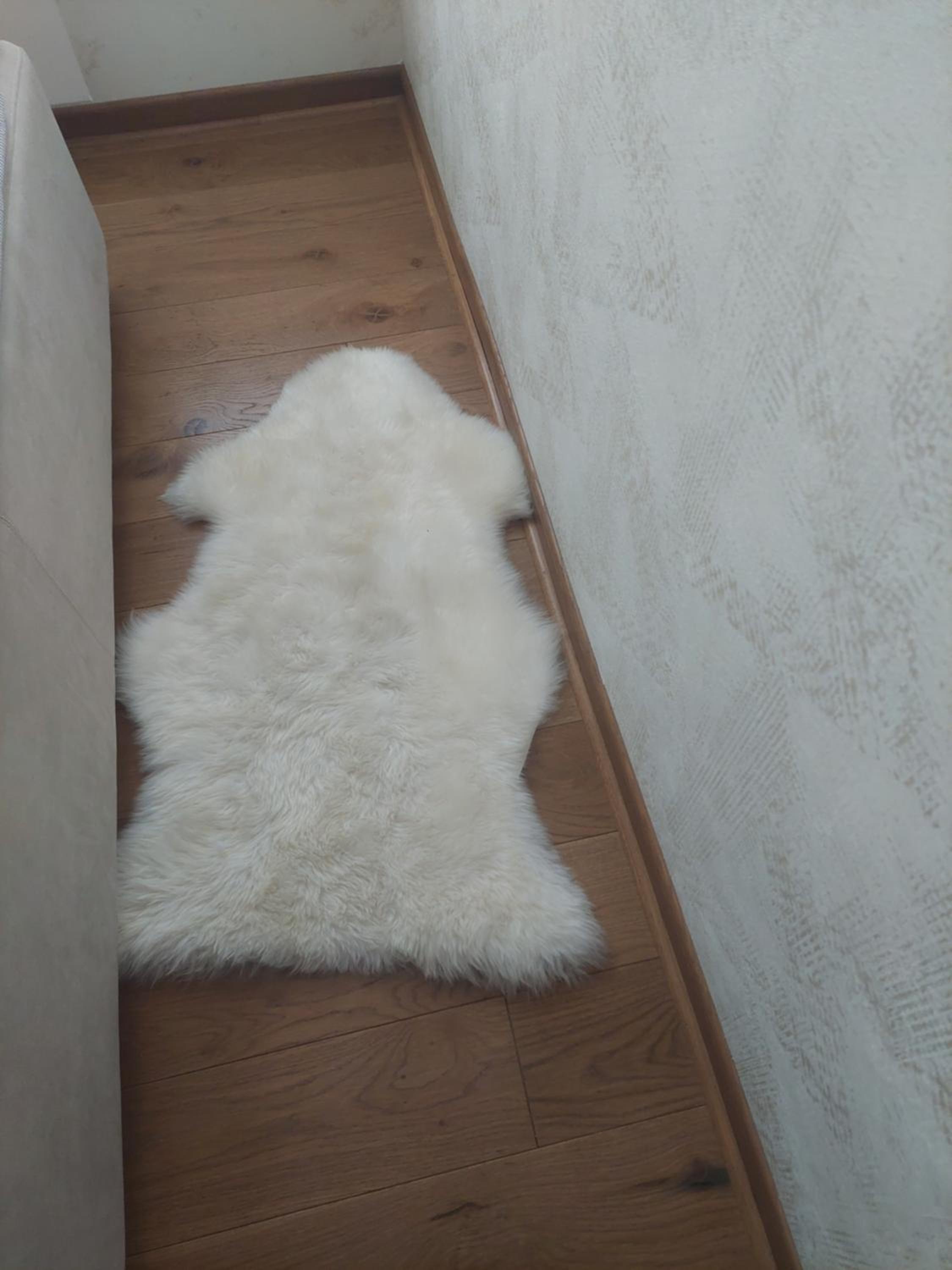 Apartman Bagic