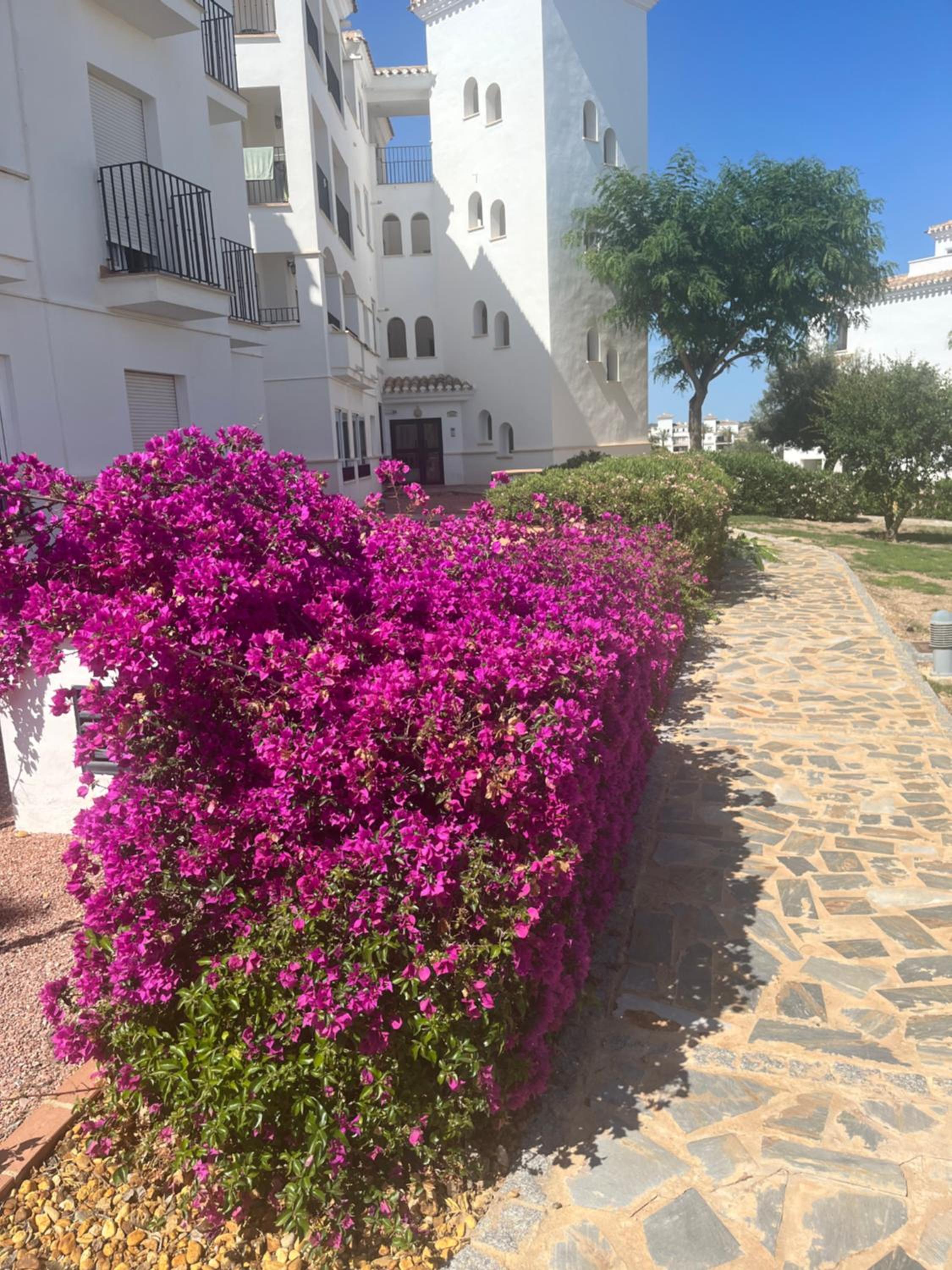 La Casa Rosita, Hacienda Riquelme Golf Resort Sucina