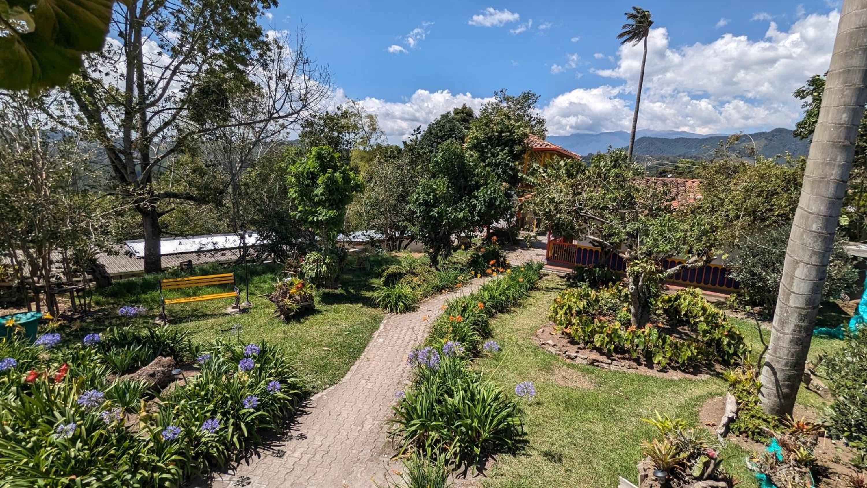 Coronel's Peak Coffee House