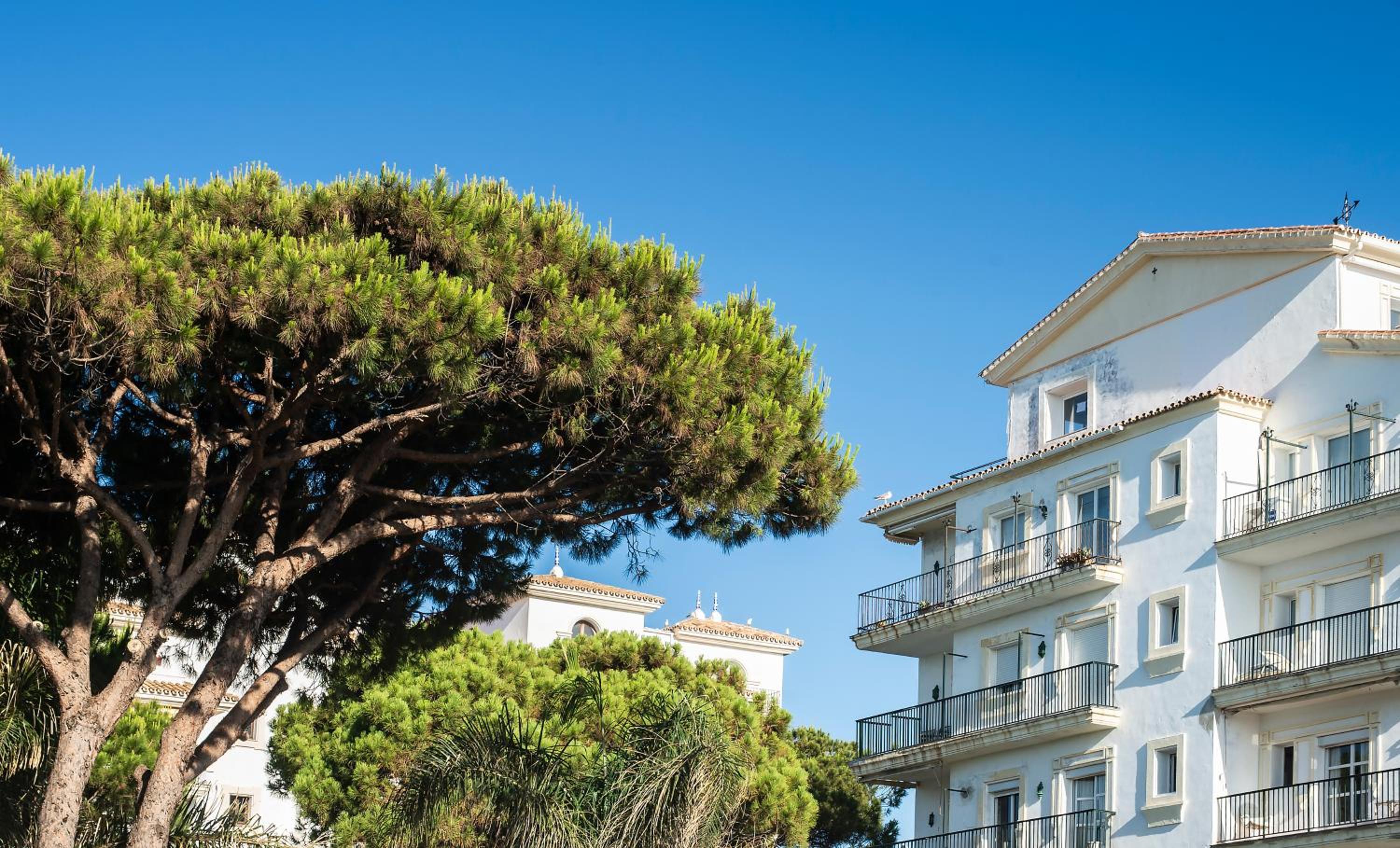 Puerto Banús, An Ideal Escape!