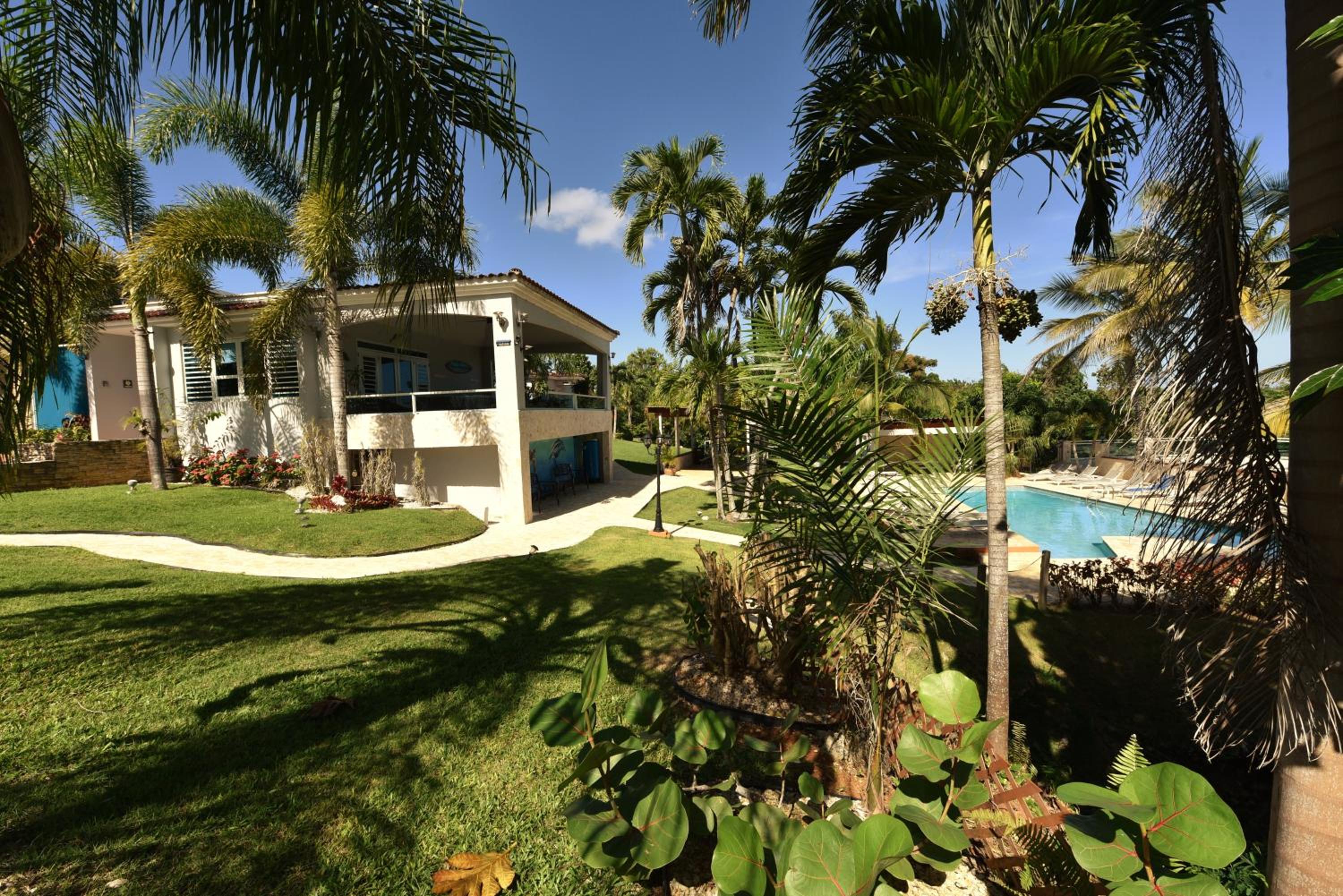 Photo 7