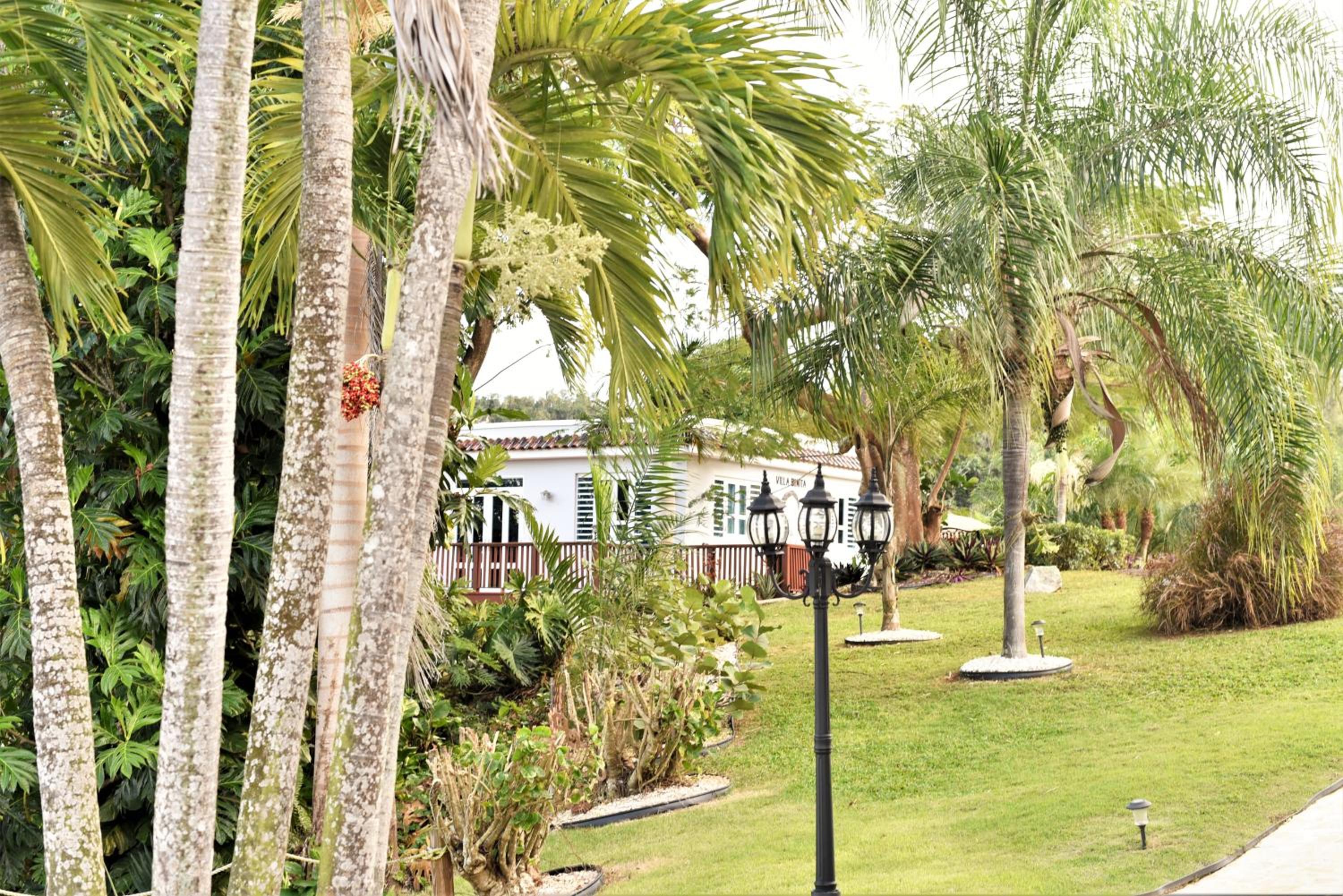 Luxury Villa Bonita Sleep 50 + view 3