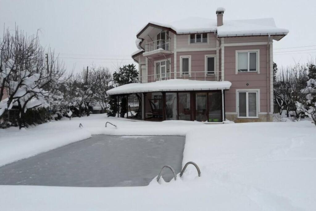 Photo 8