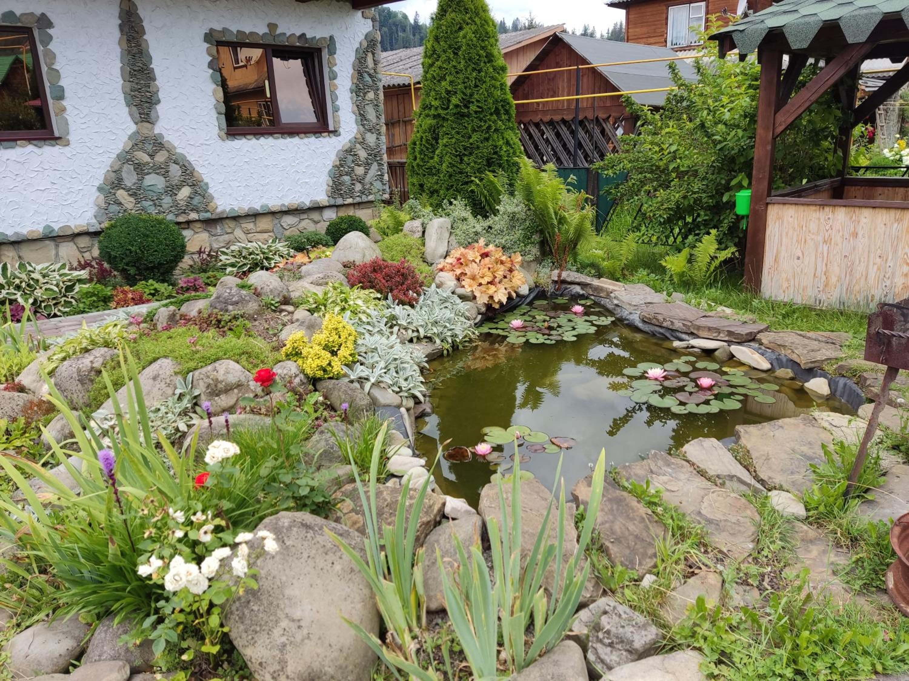 Photo 8