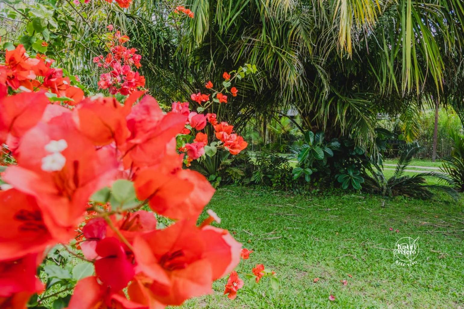 Hotel Vivero Arte Vivo I Quindío I Eje Cafetero