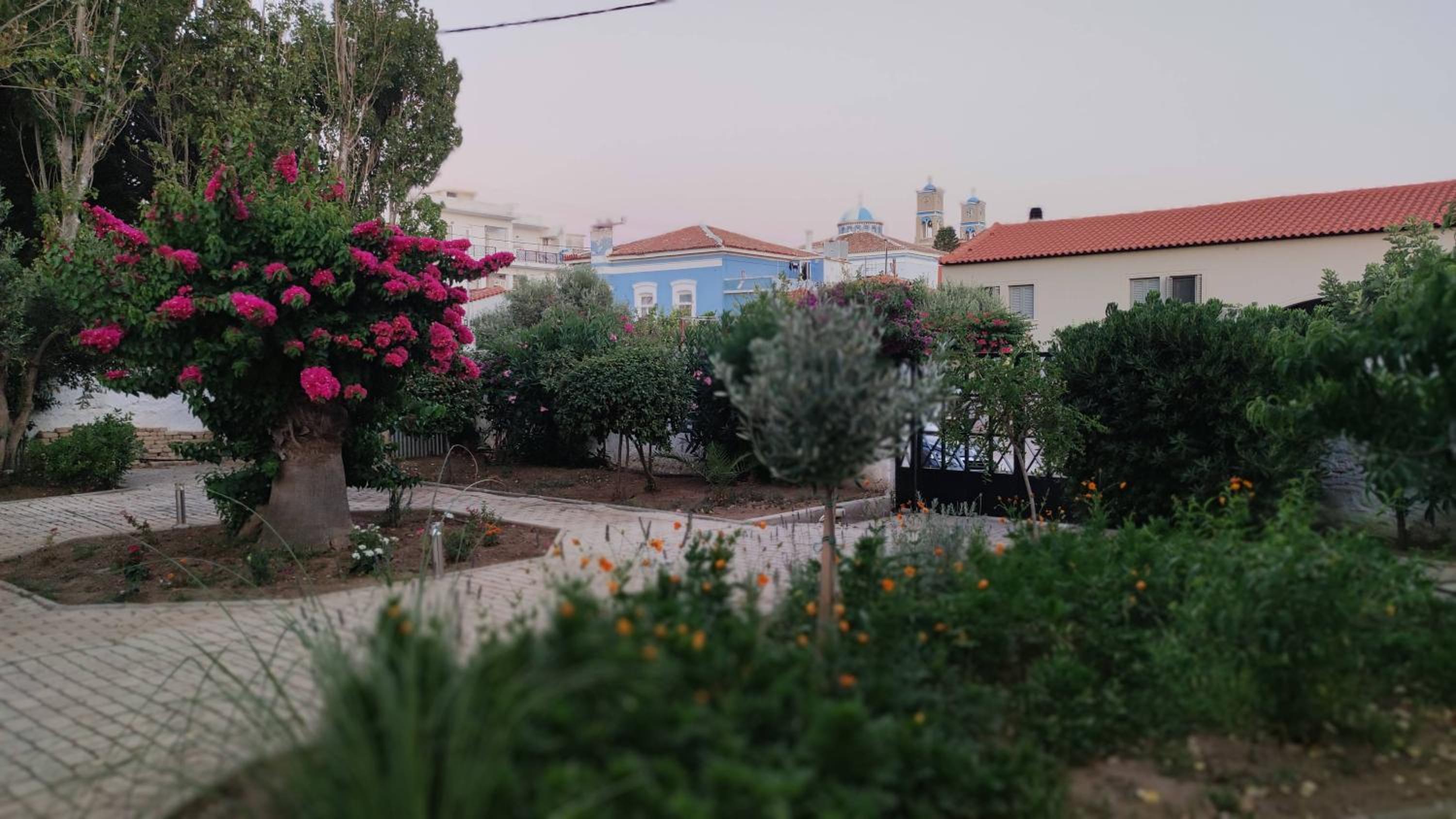Mediterranean house with beautiful garden