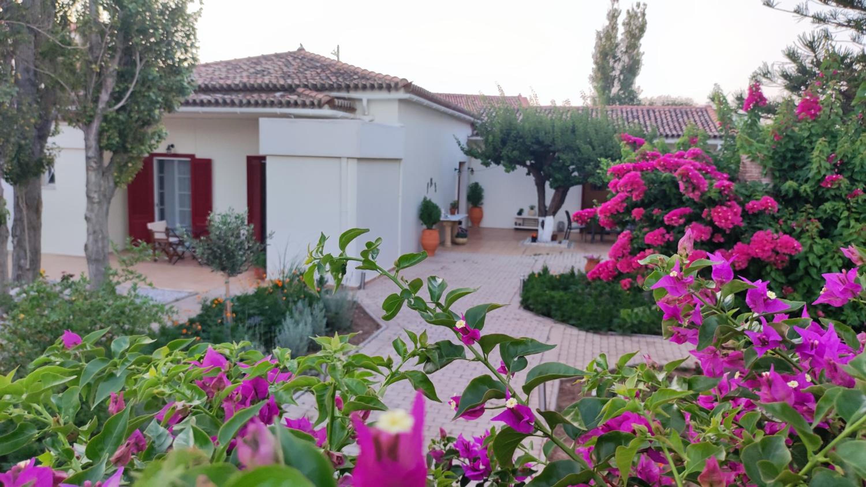 Mediterranean house with beautiful garden