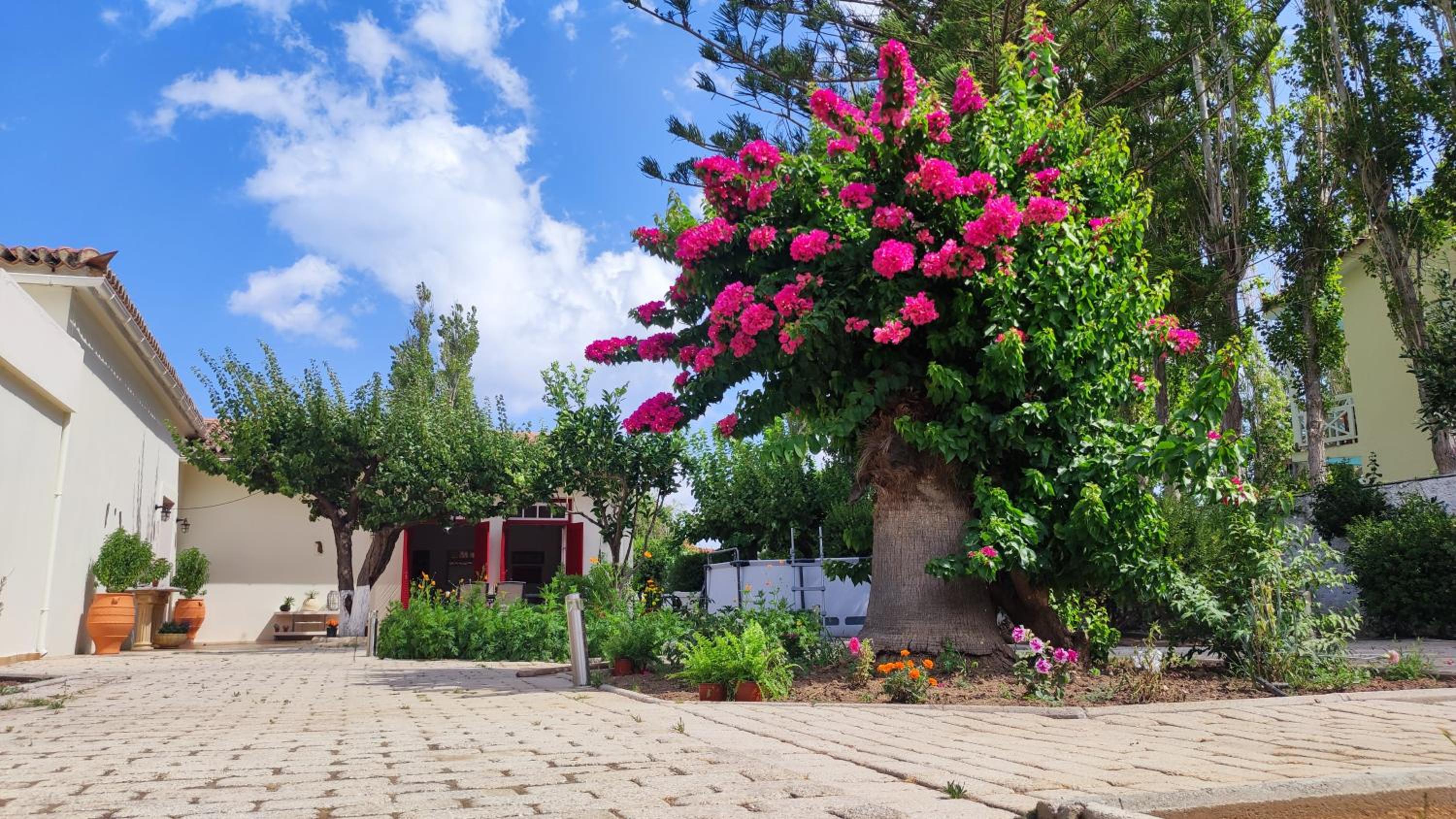 Mediterranean house with beautiful garden