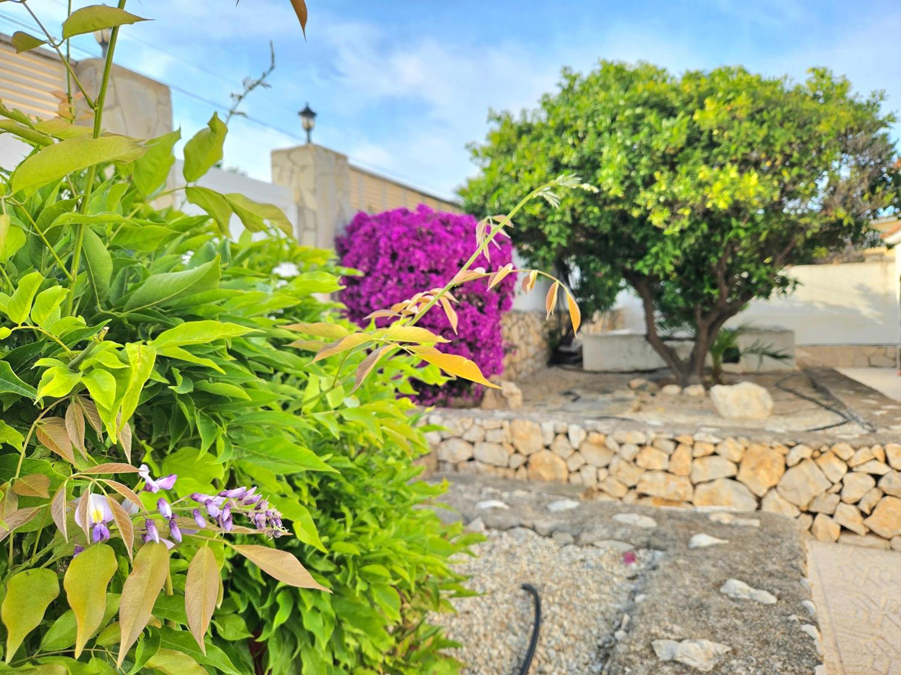 Villa Lilly