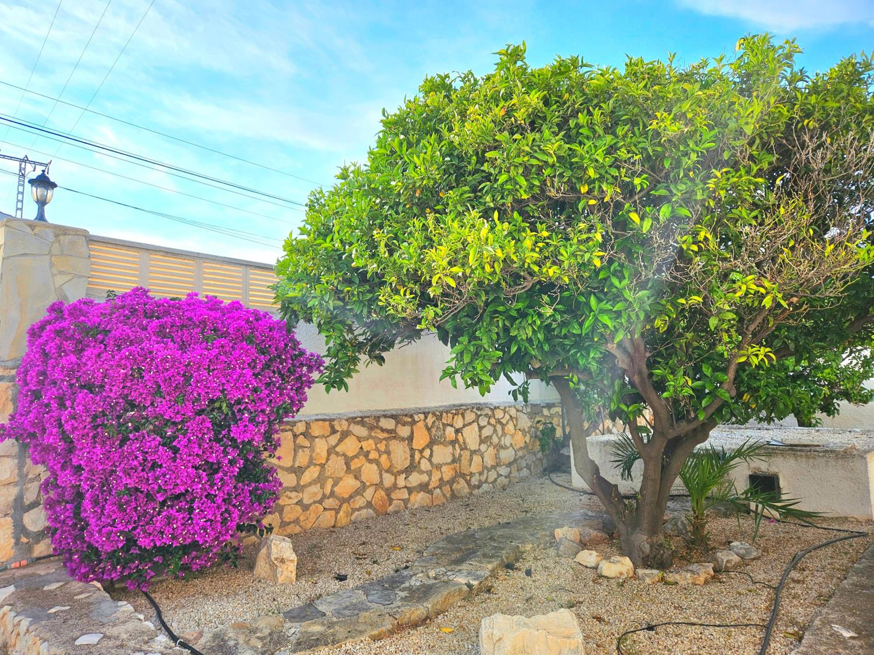 Villa Lilly