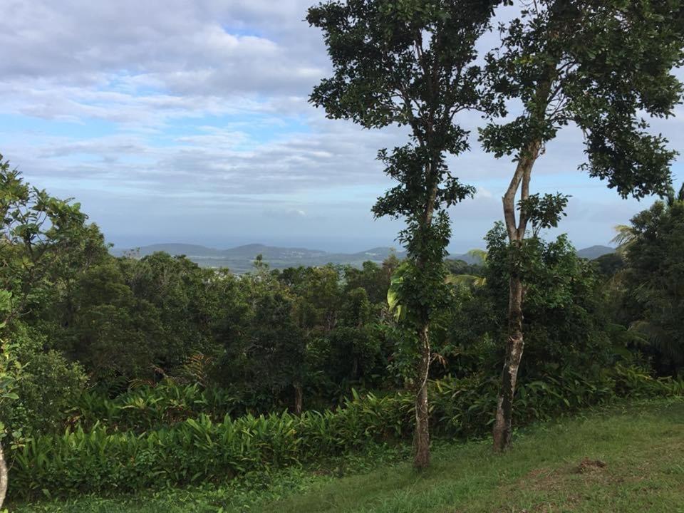 Serenity Rainforest Retreat view 3