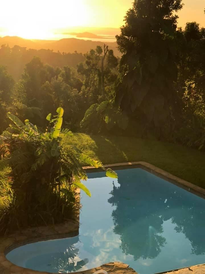 Serenity Rainforest Retreat view 5