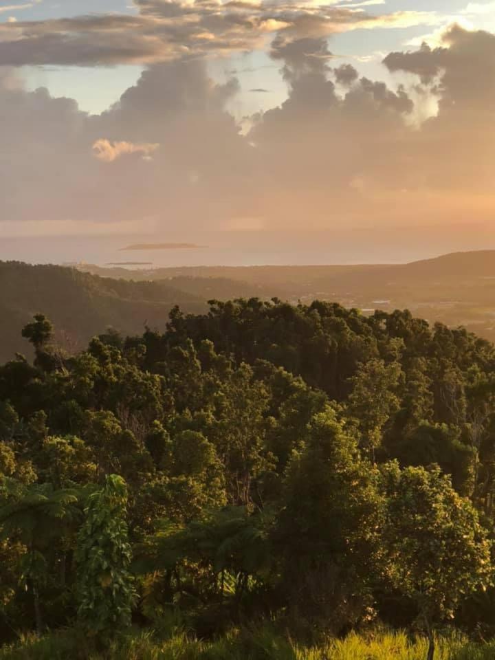 Serenity Rainforest Retreat view 2