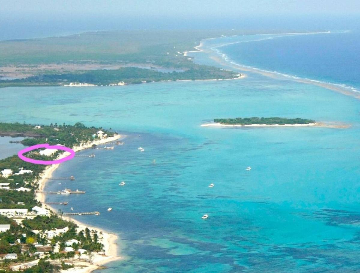 Conch Club Cottage - hotel in 1200 Guy Banks Road, Head of Bay