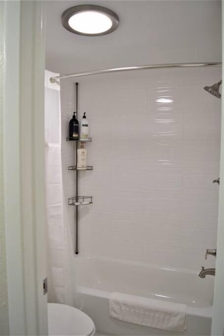 2bd/2bth Modern Condo on International Dr. w Pool ! Near Sea World and Universal