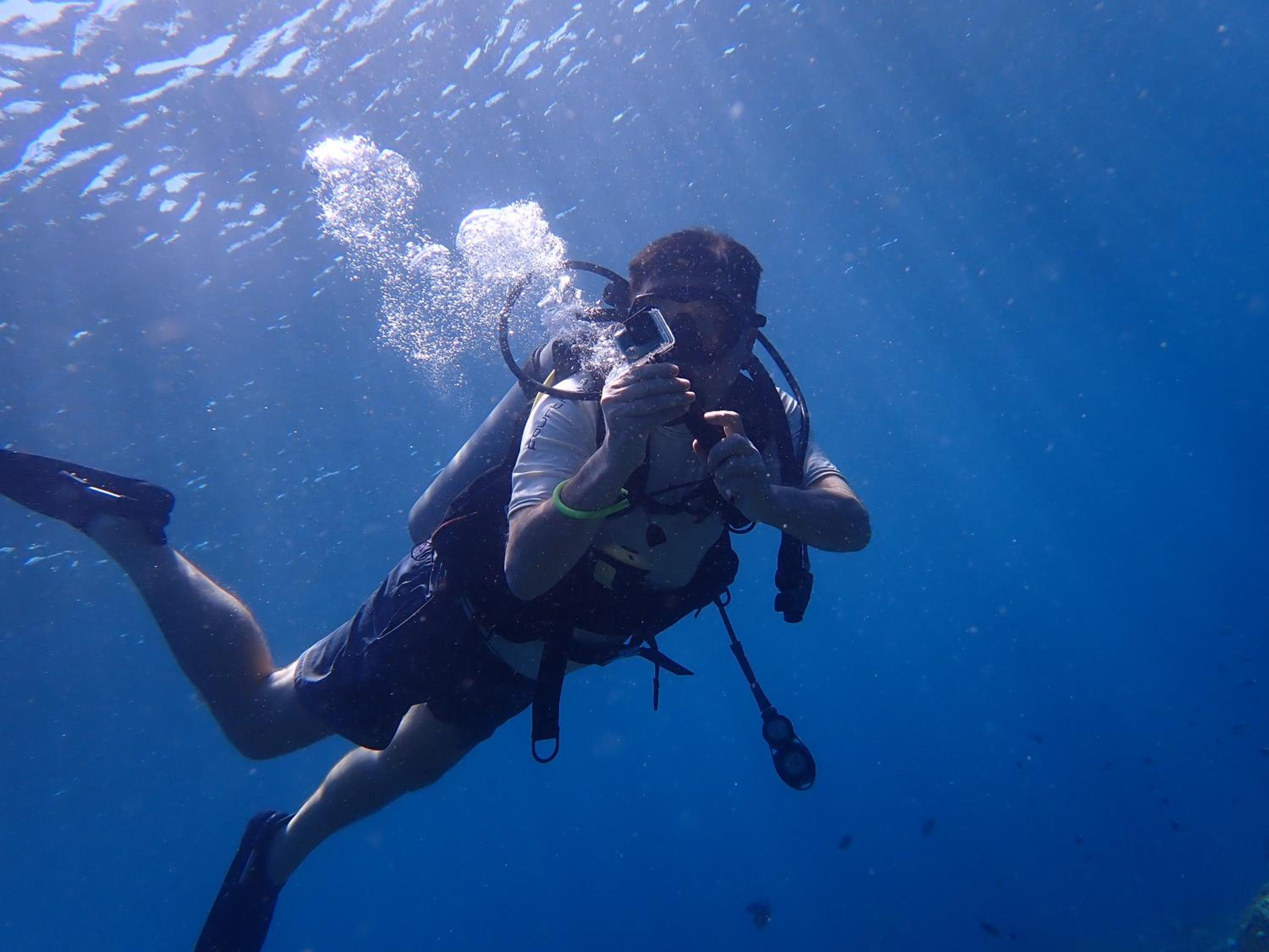 Palm Springs Bali Dive Resort, ตุลัมเบน - 16