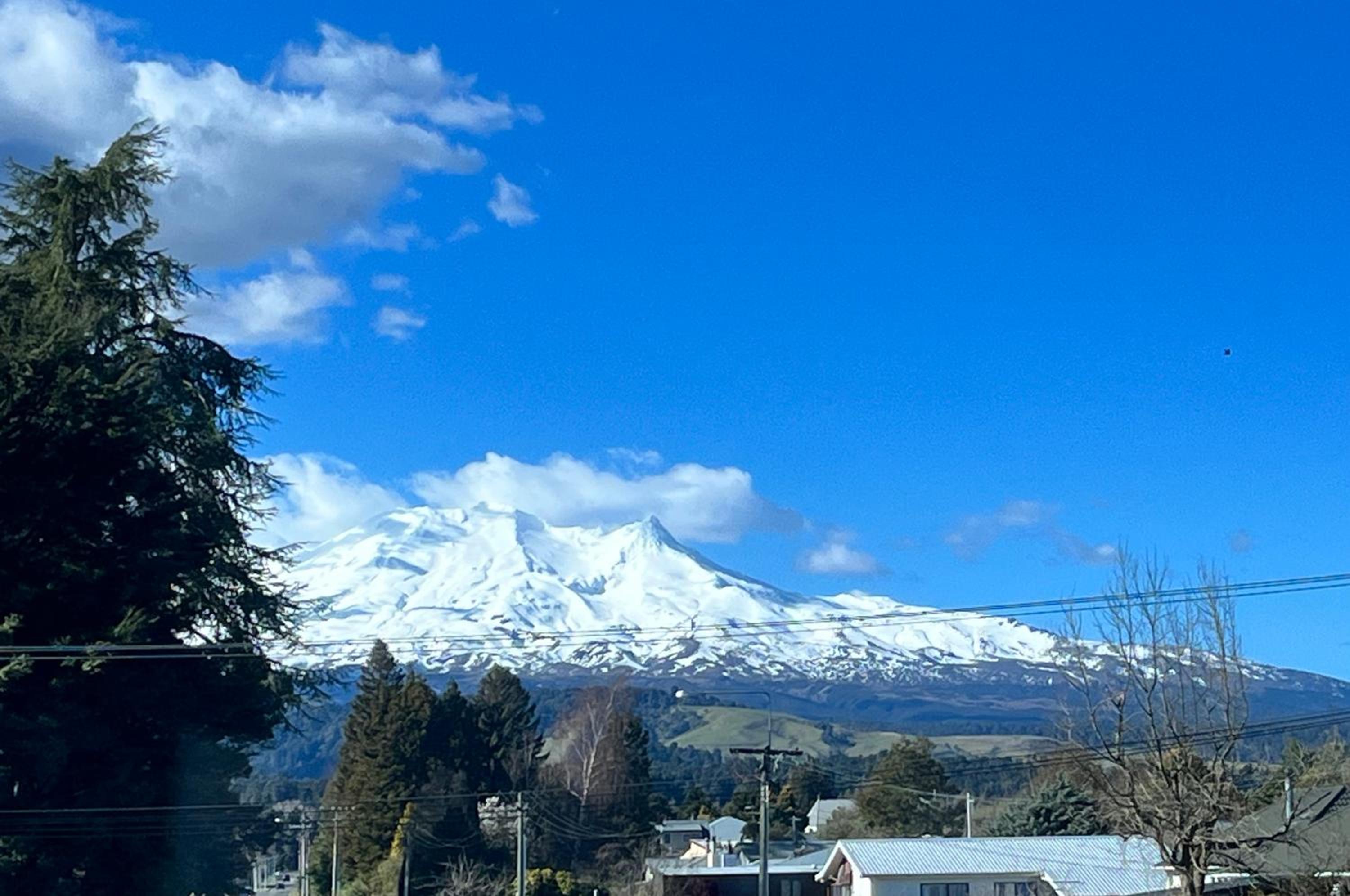 Alpine Motel