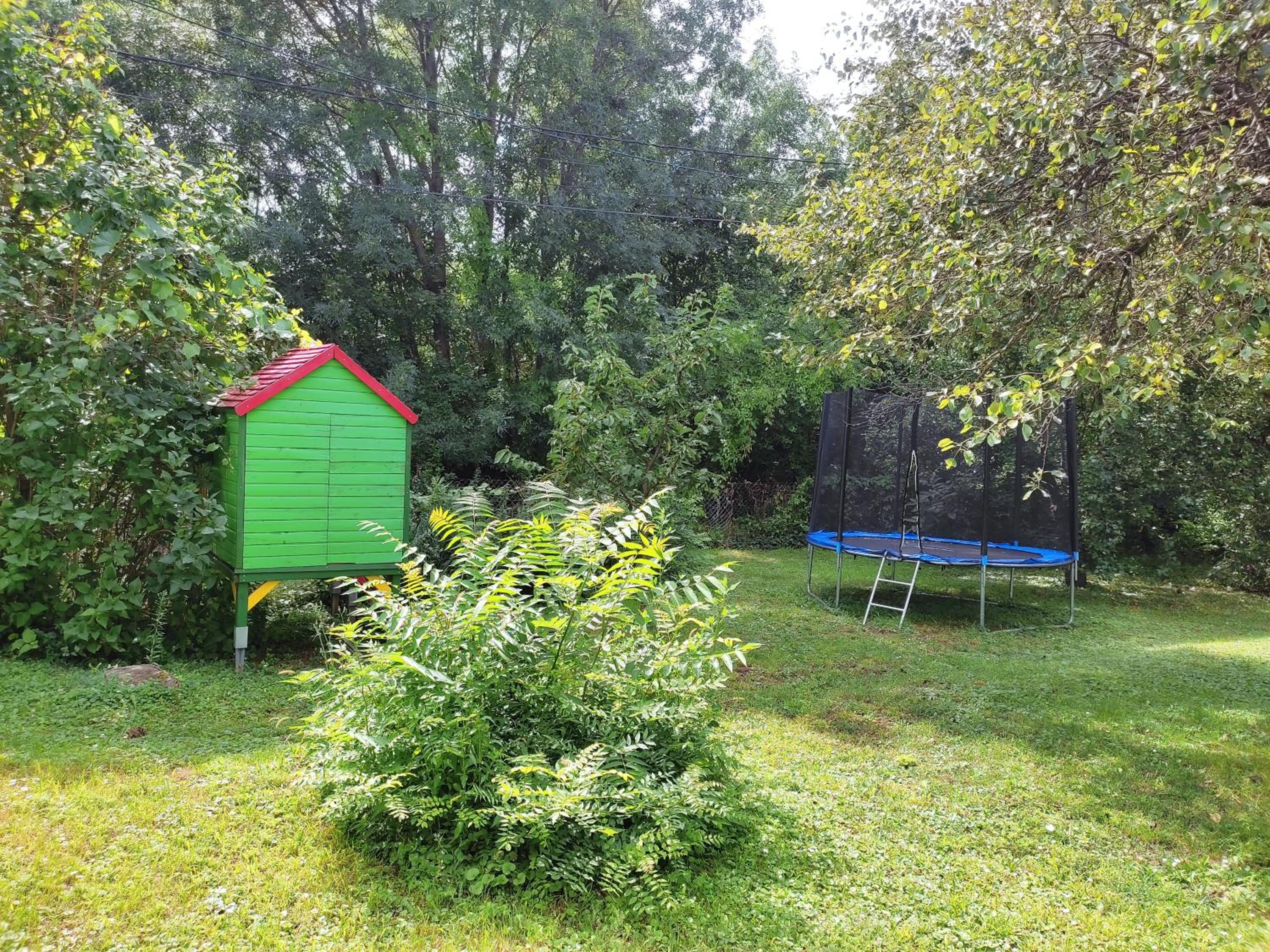 Photo 44
