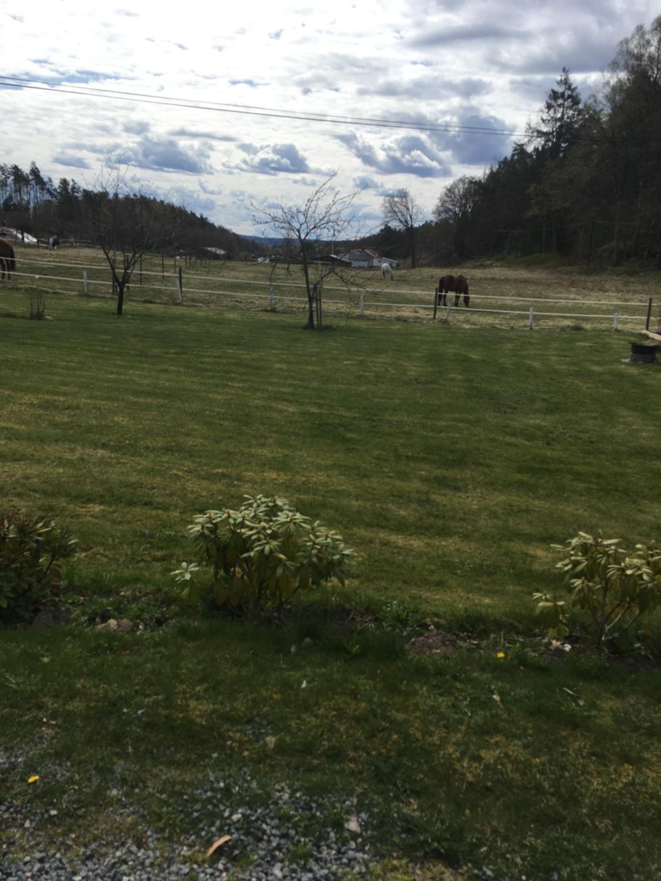 AirbnbEkåsberg view 4