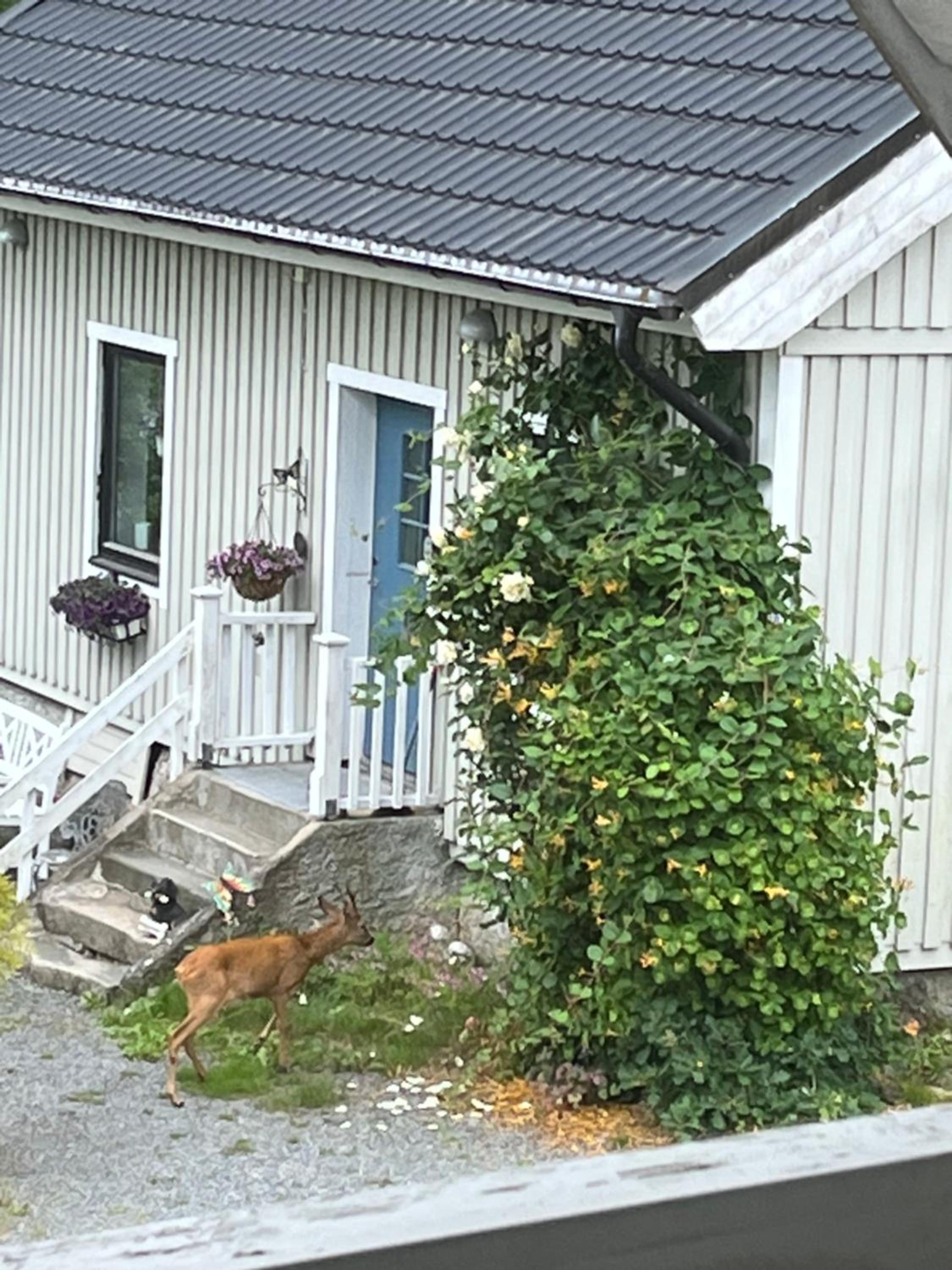 AirbnbEkåsberg view 3