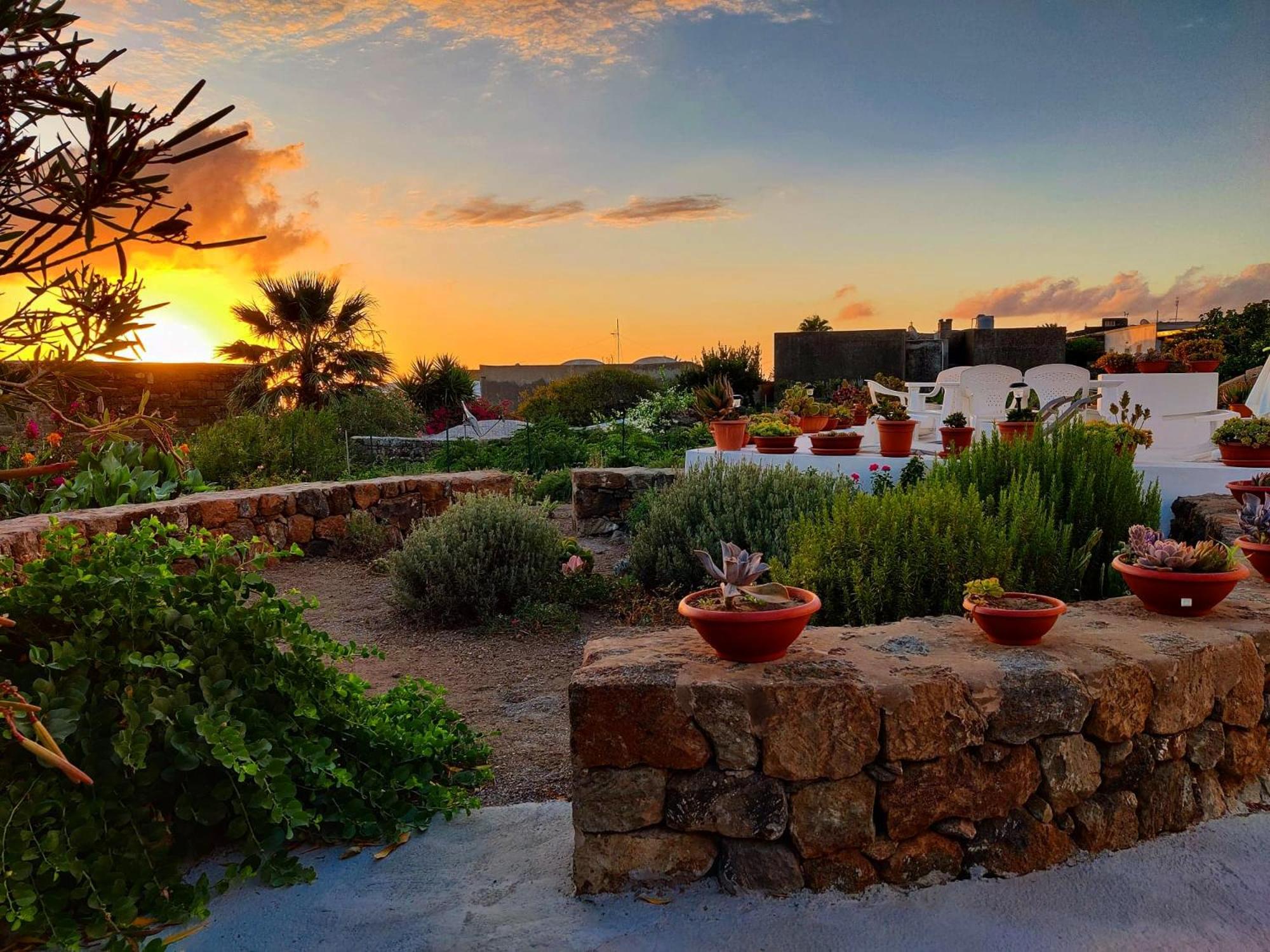 Dammuso Pantelleria - Fiori D'Ossidiana