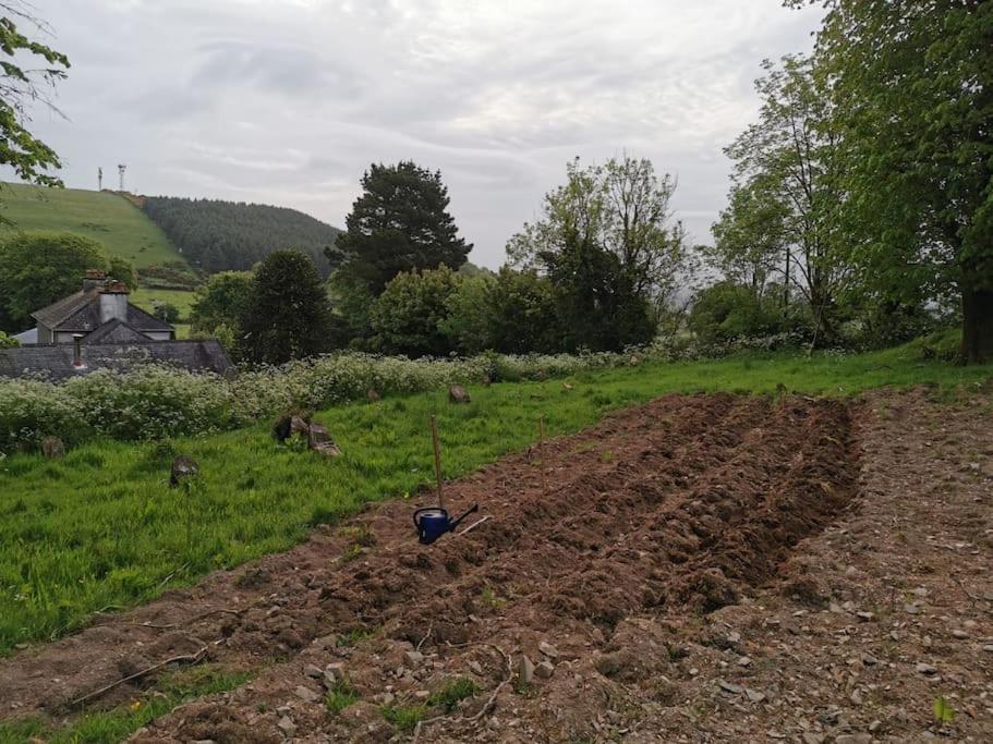 The Calf House view 5
