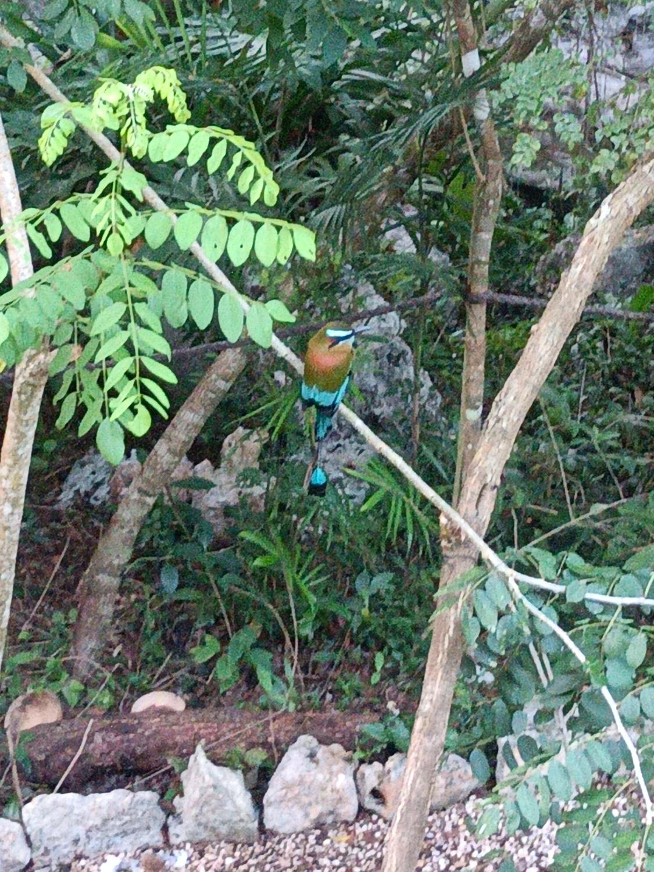 Rancho Aak