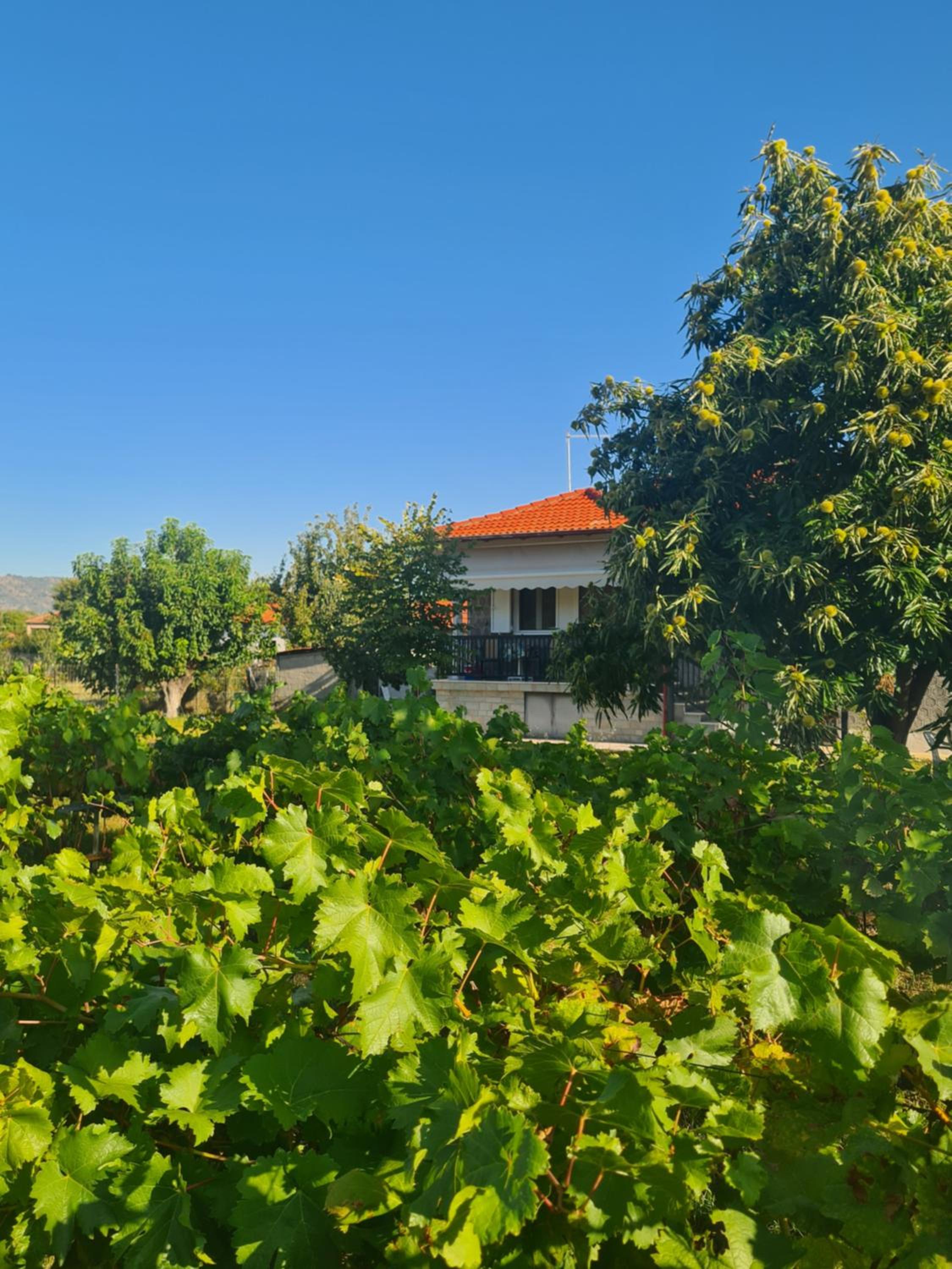 Villa Anna