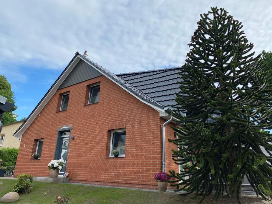 Haus Jahns - 1 Haus, 4 Wohnungen - Erholung pur