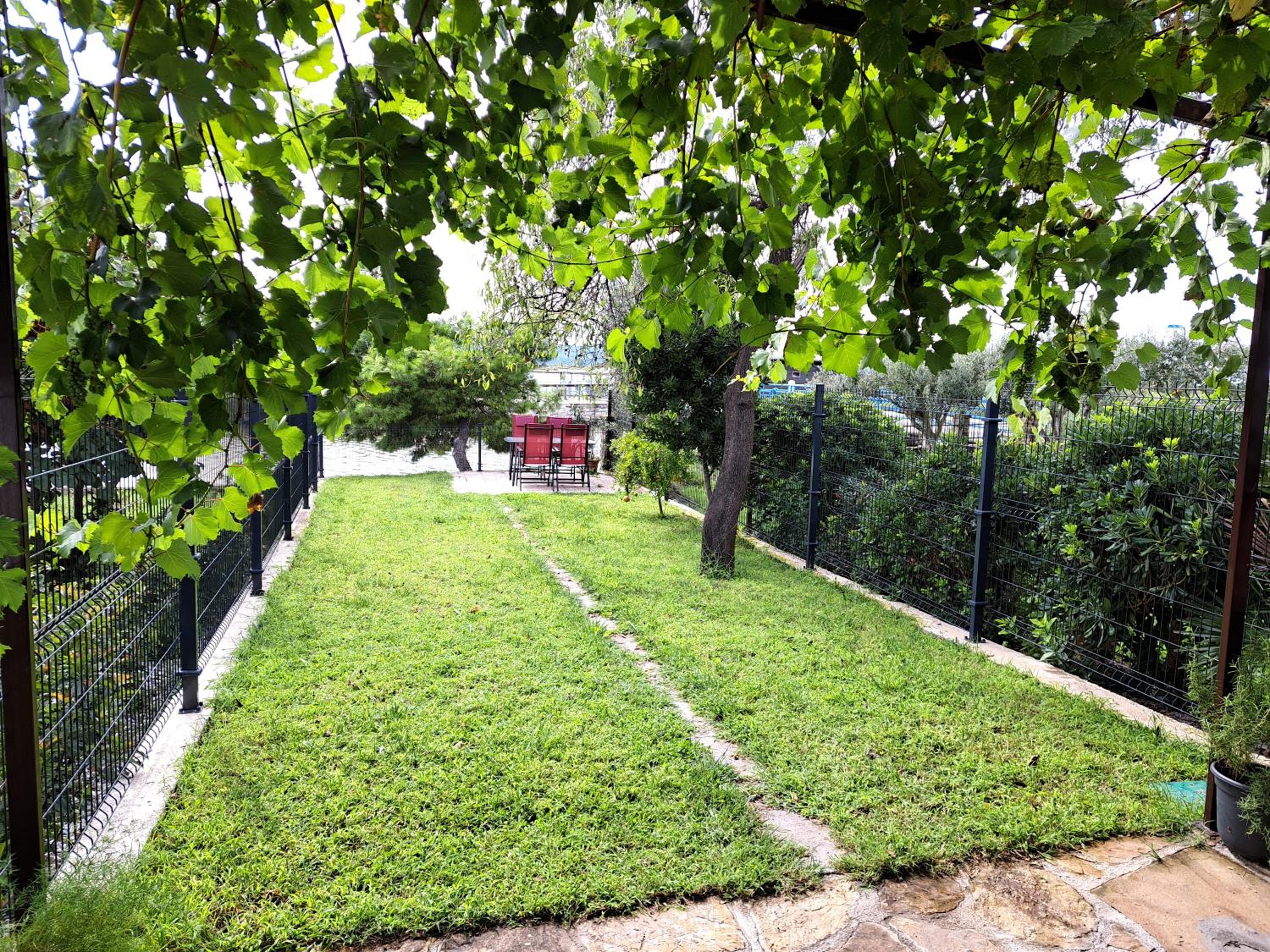 Photo 38