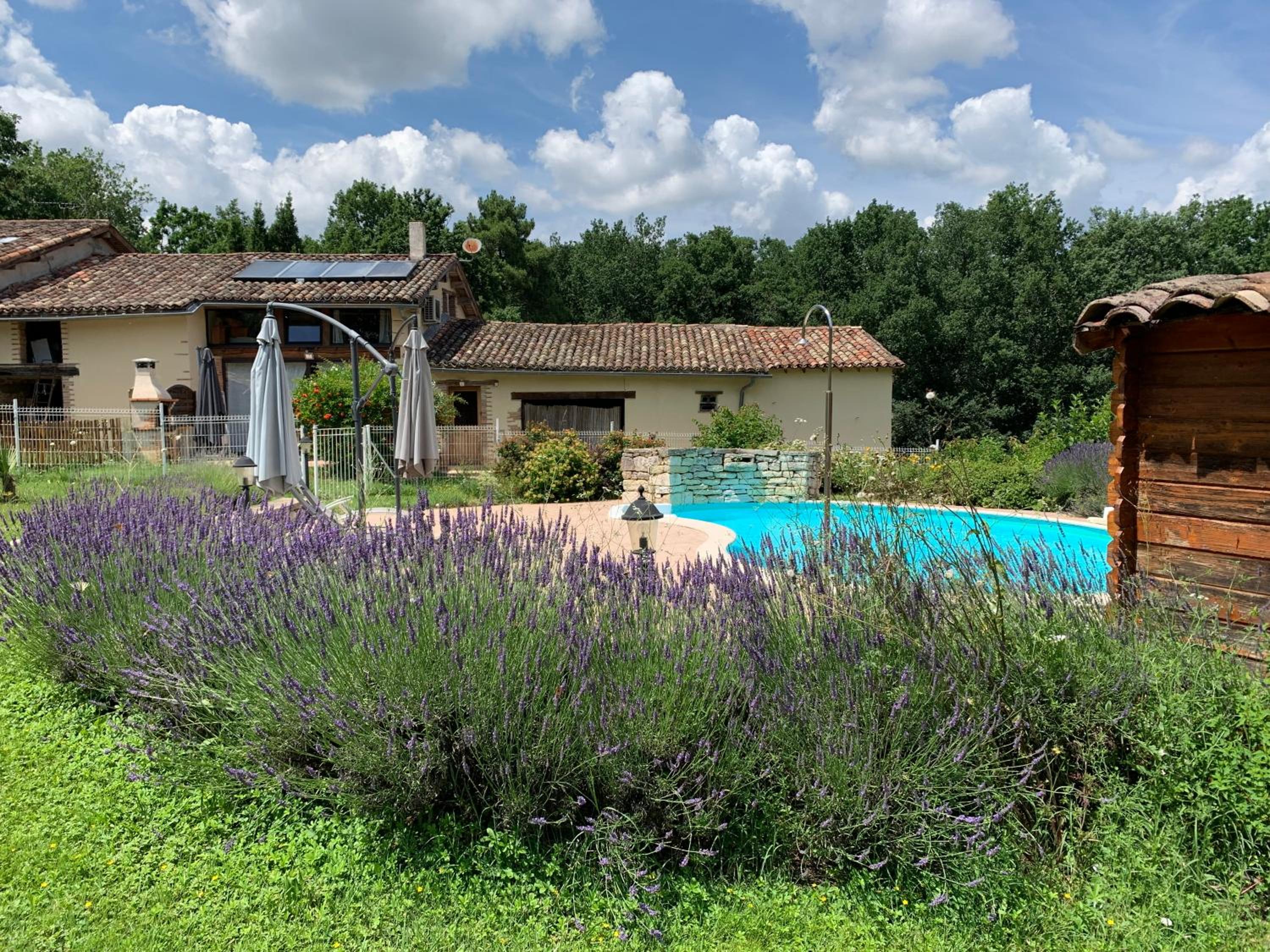 Gîte Bois et Senteurs view 3
