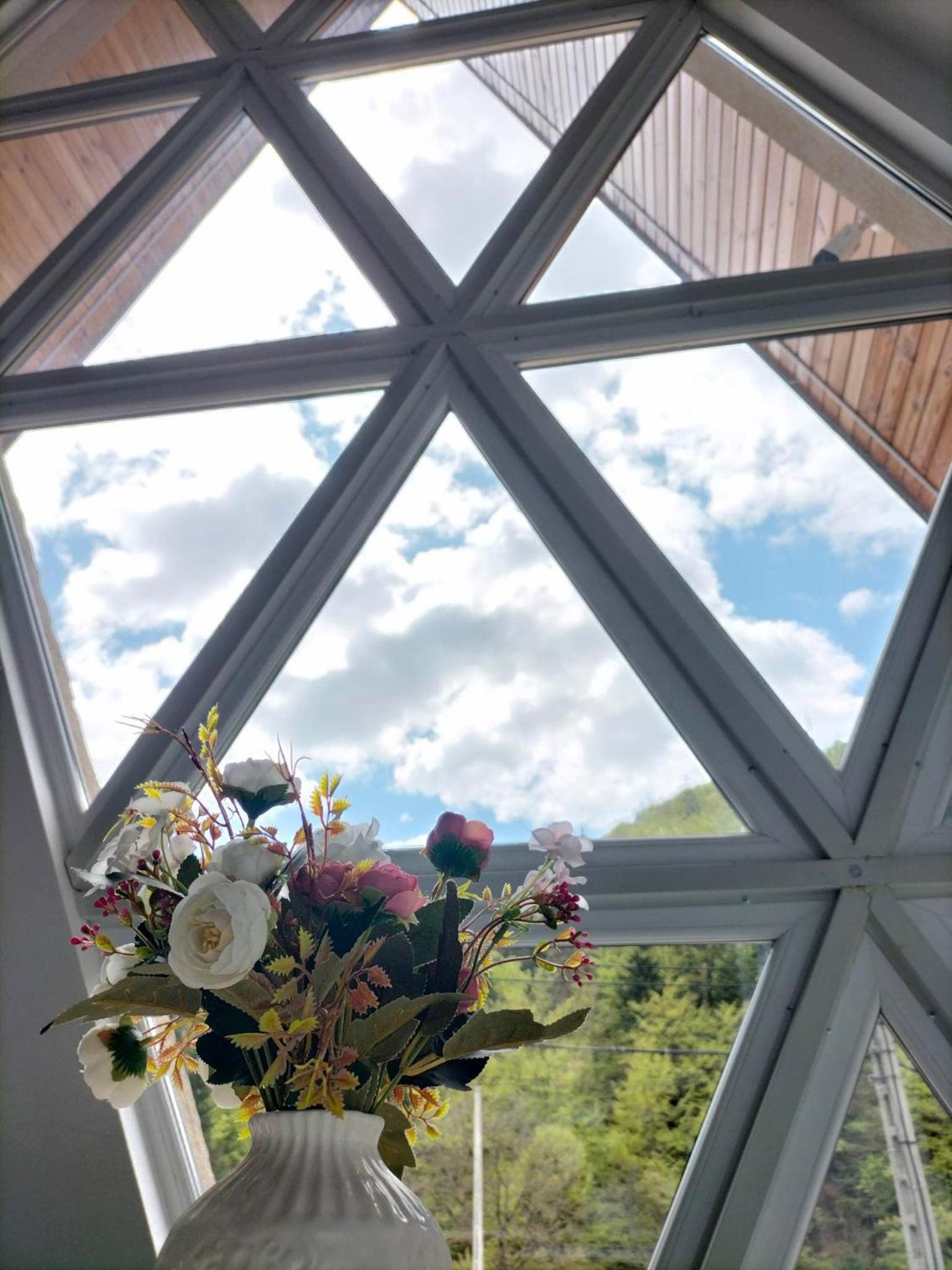 Cabana All Seasons view 5