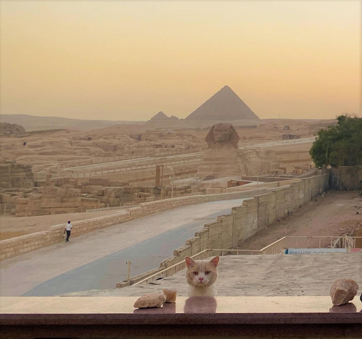 Seven Pyramids View Inn - Rooftop Breakfast