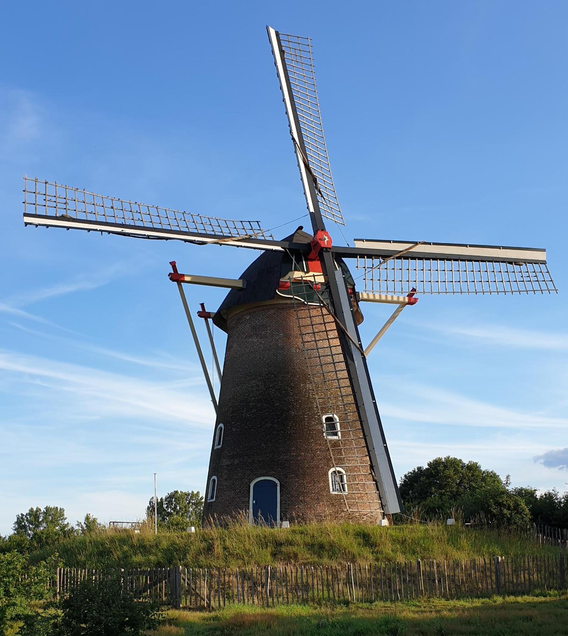 Photo 25