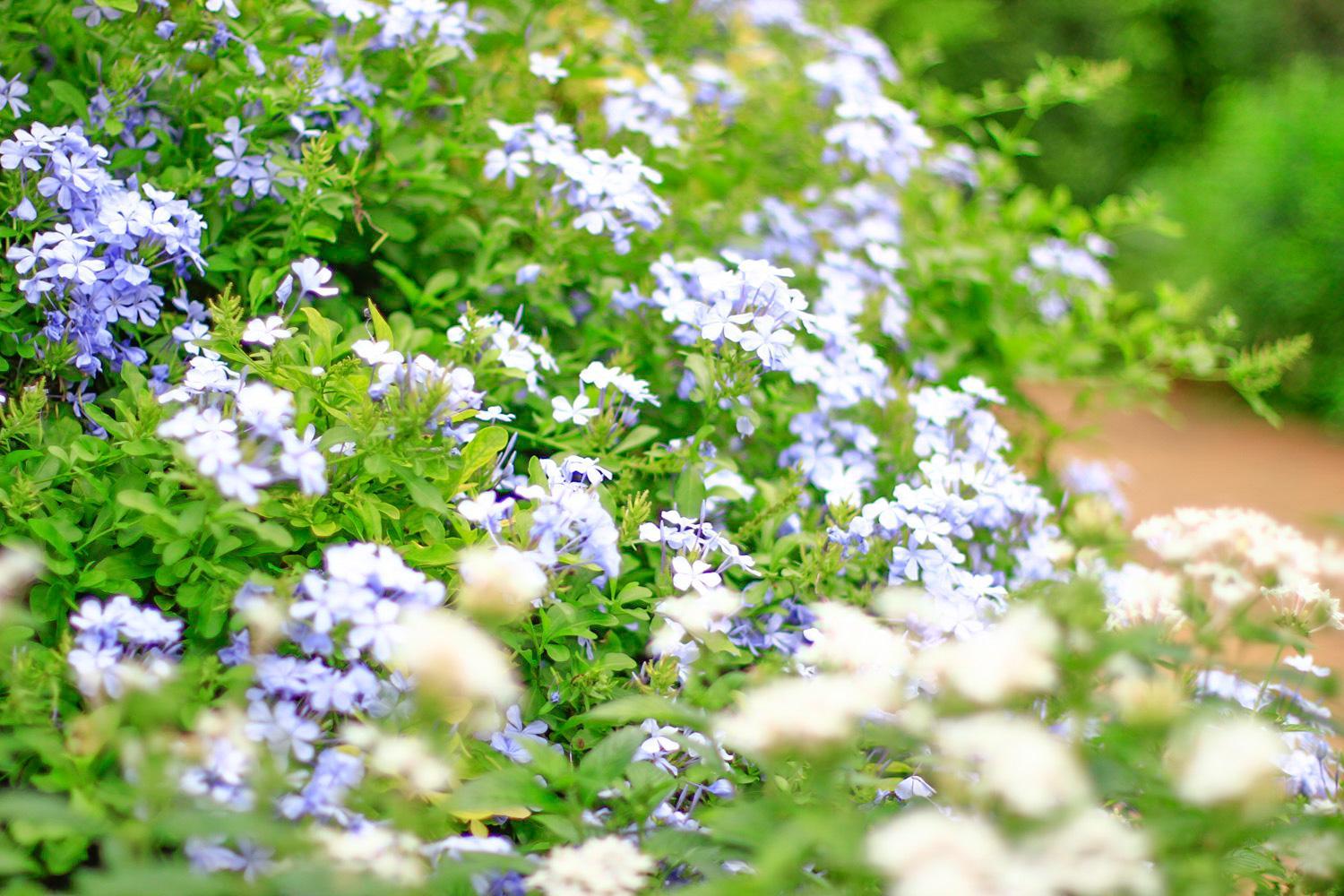 Pottery Flower B&B