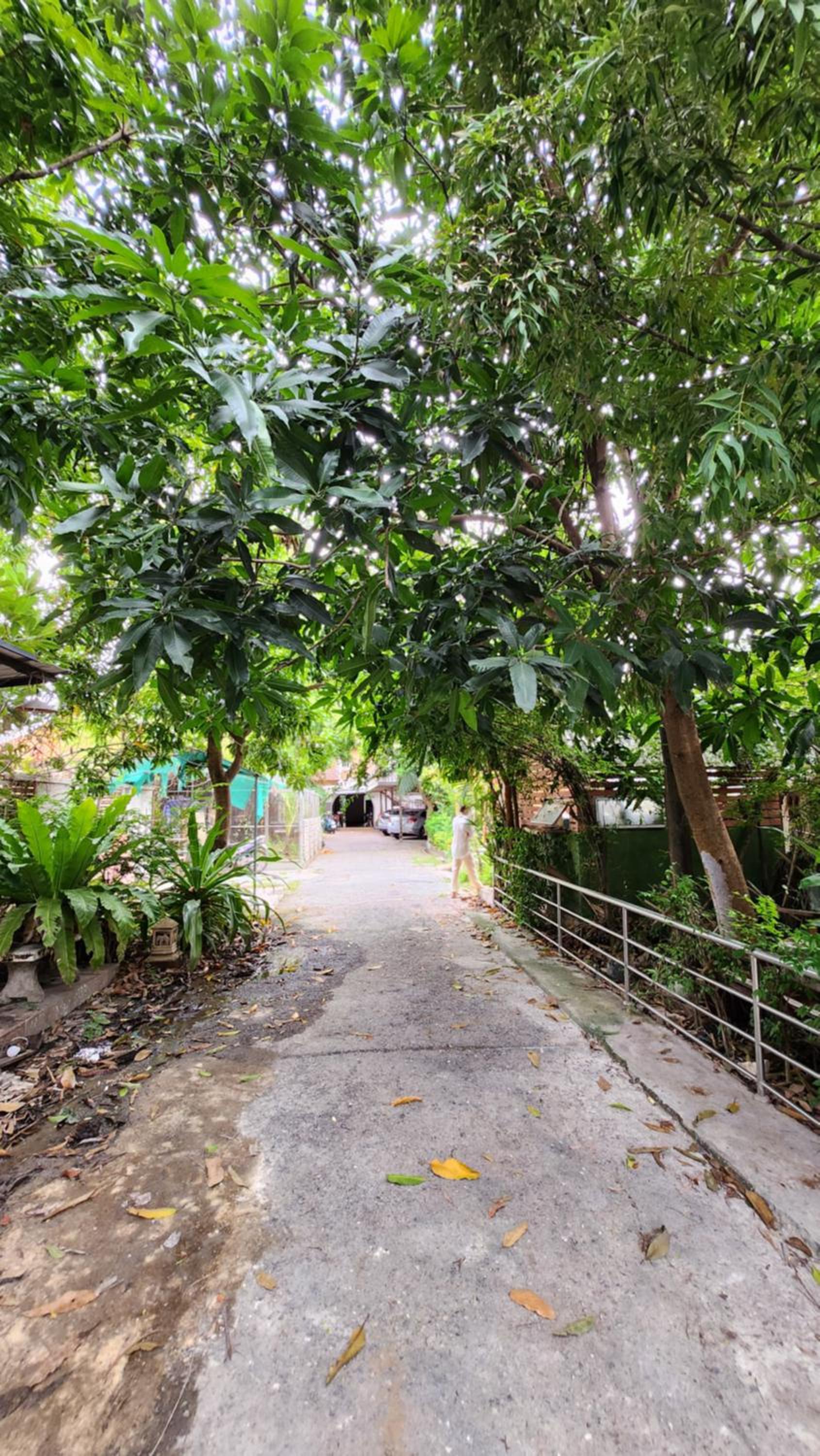 Nature Home view 4