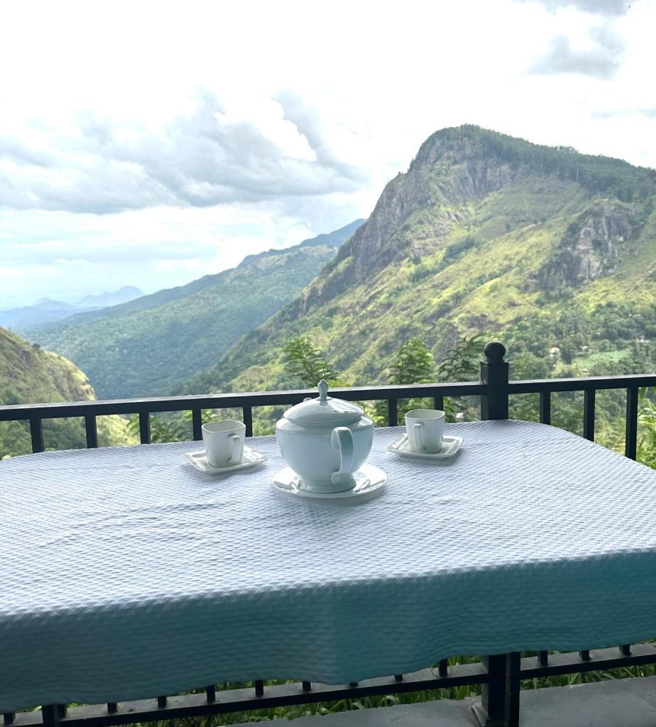 Viewpoint koka