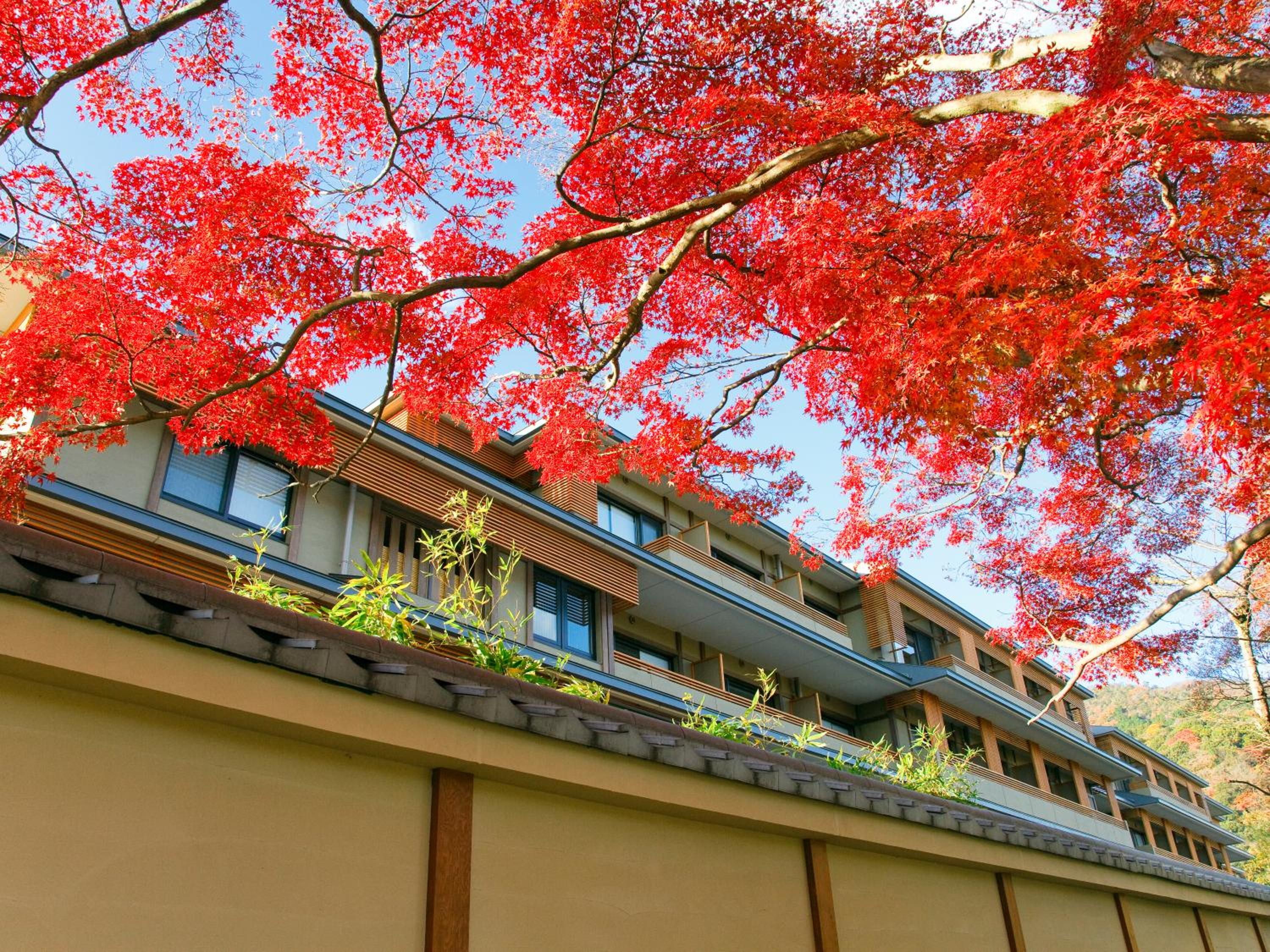 Kadensho, Arashiyama Onsen, Kyoto - Kyoritsu Resort 108