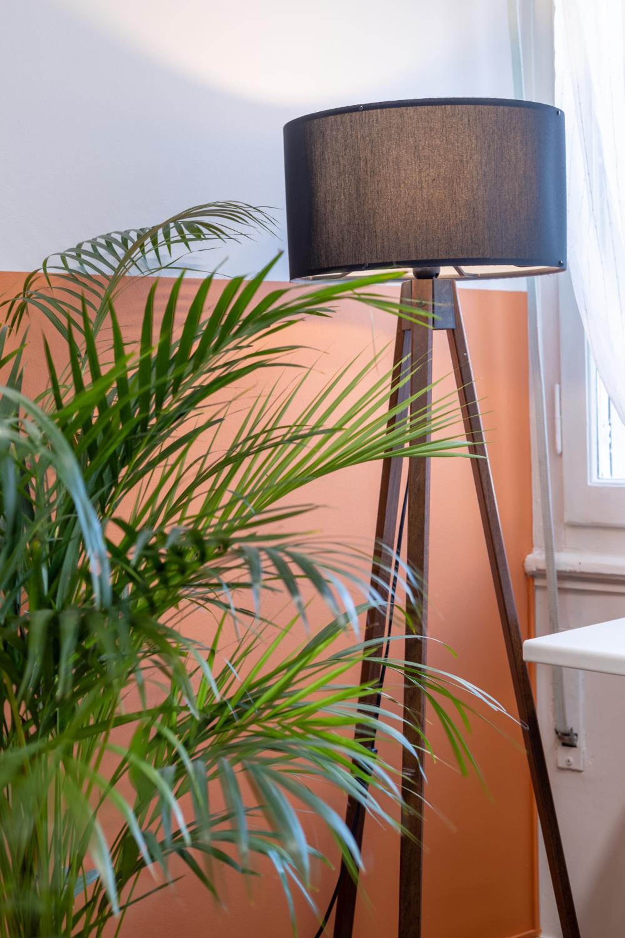 Athenian Sensations Apartments and Suites in the Heart of Athens