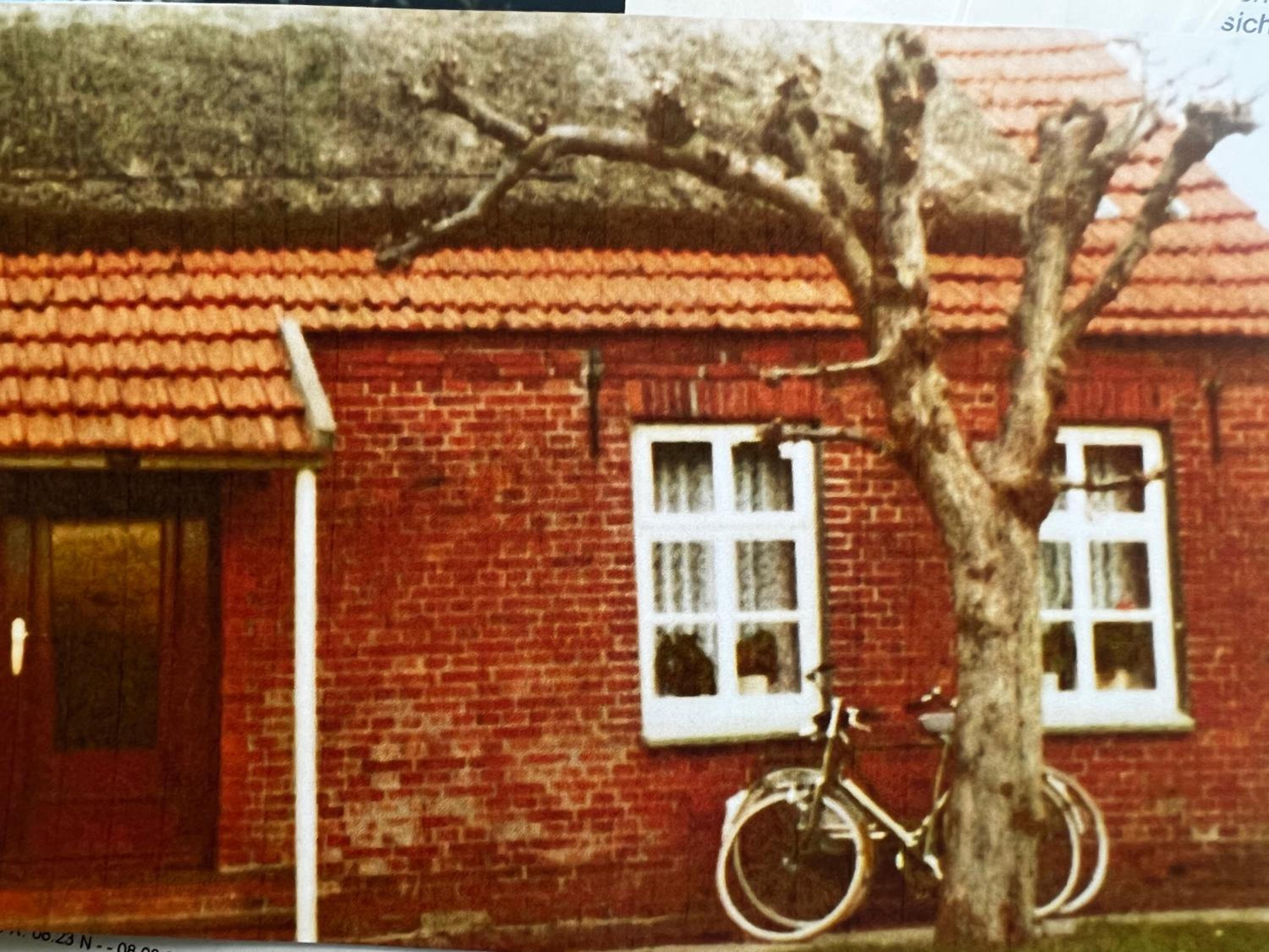 Lindenhuus-Urlaub unter einem Teilreetdach-Terrasse - Nahe Norden-Norddeich