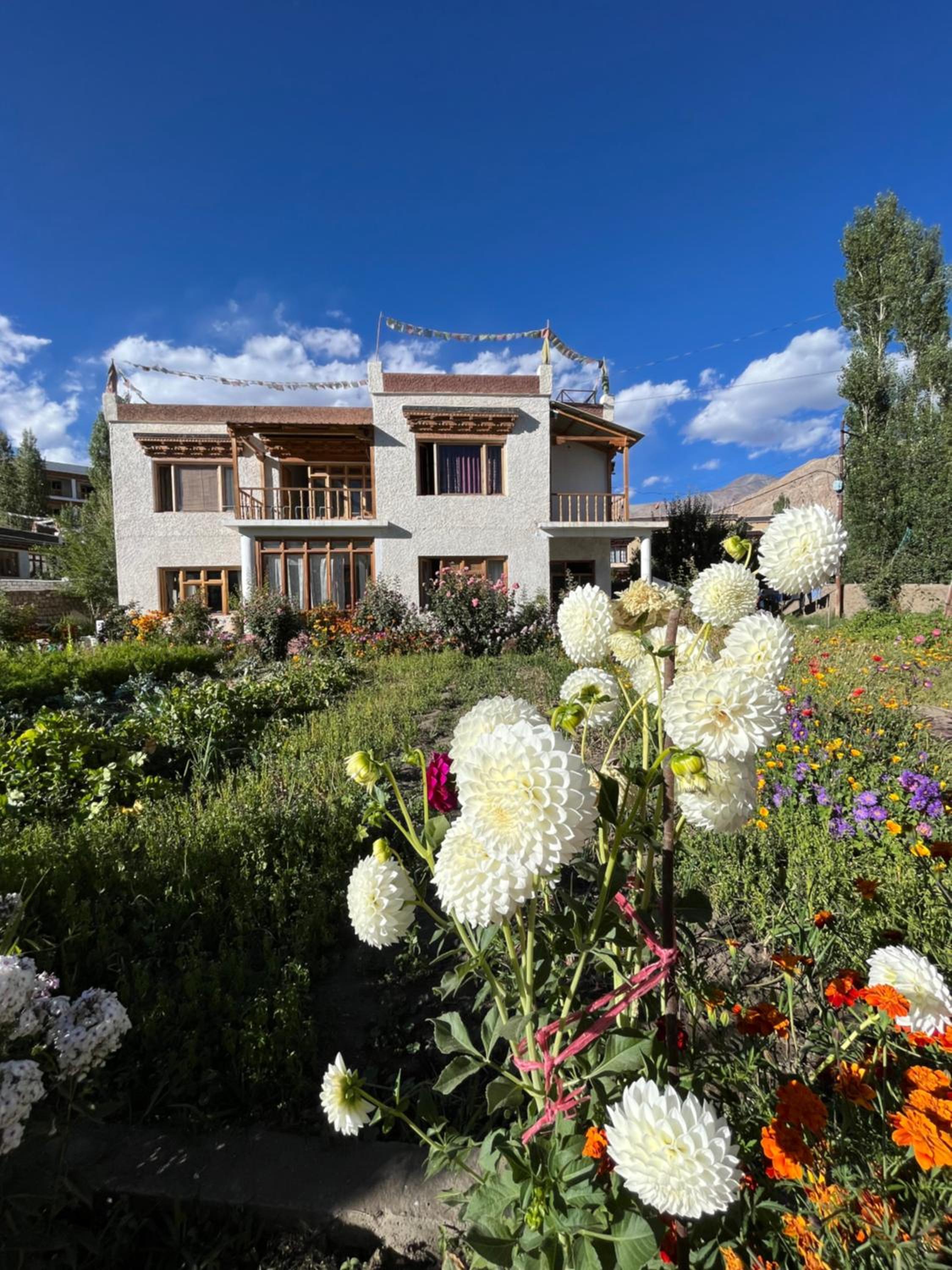 Chakzot garden house