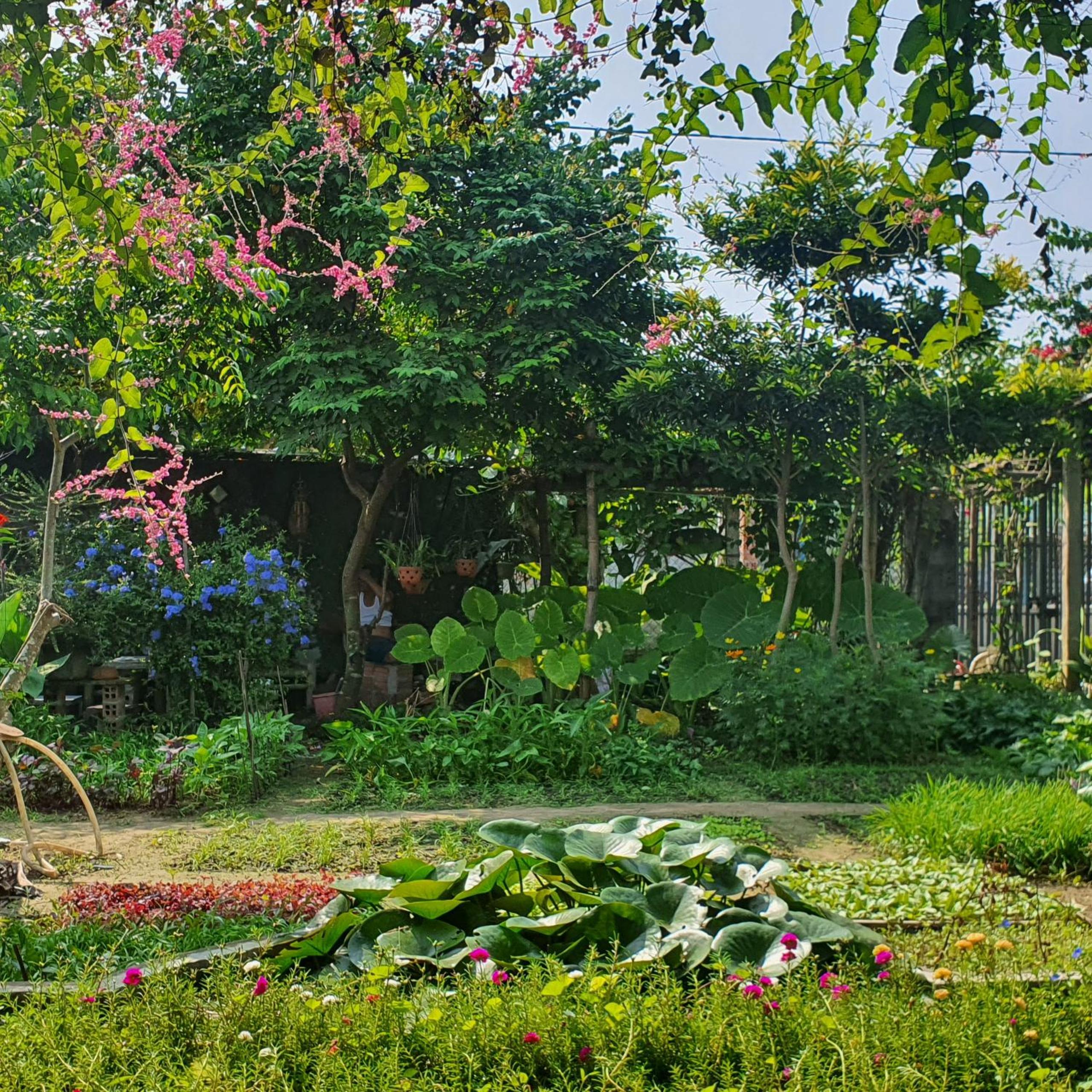 Vom Vom Garden House view 5