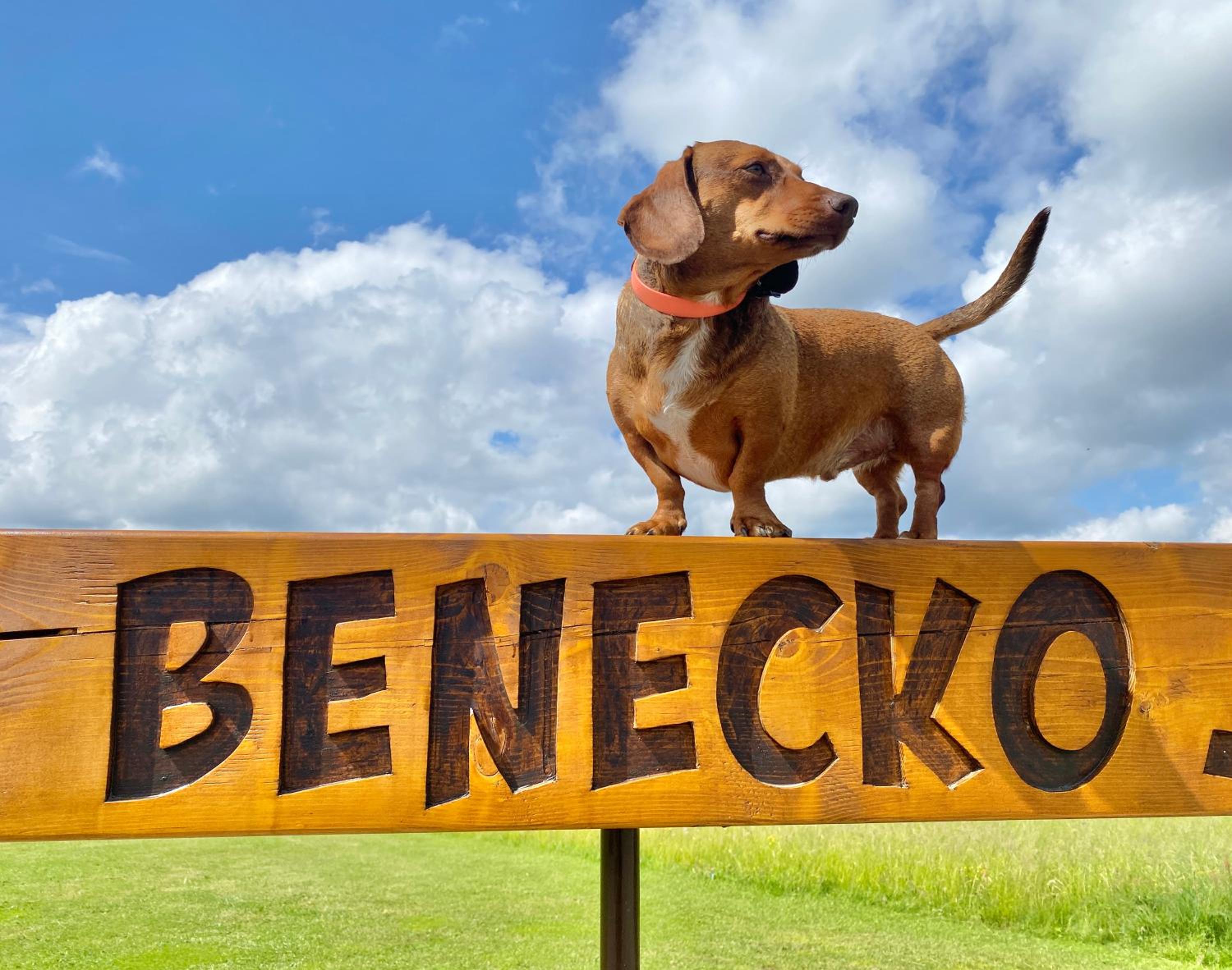 Psí bouda Benecko