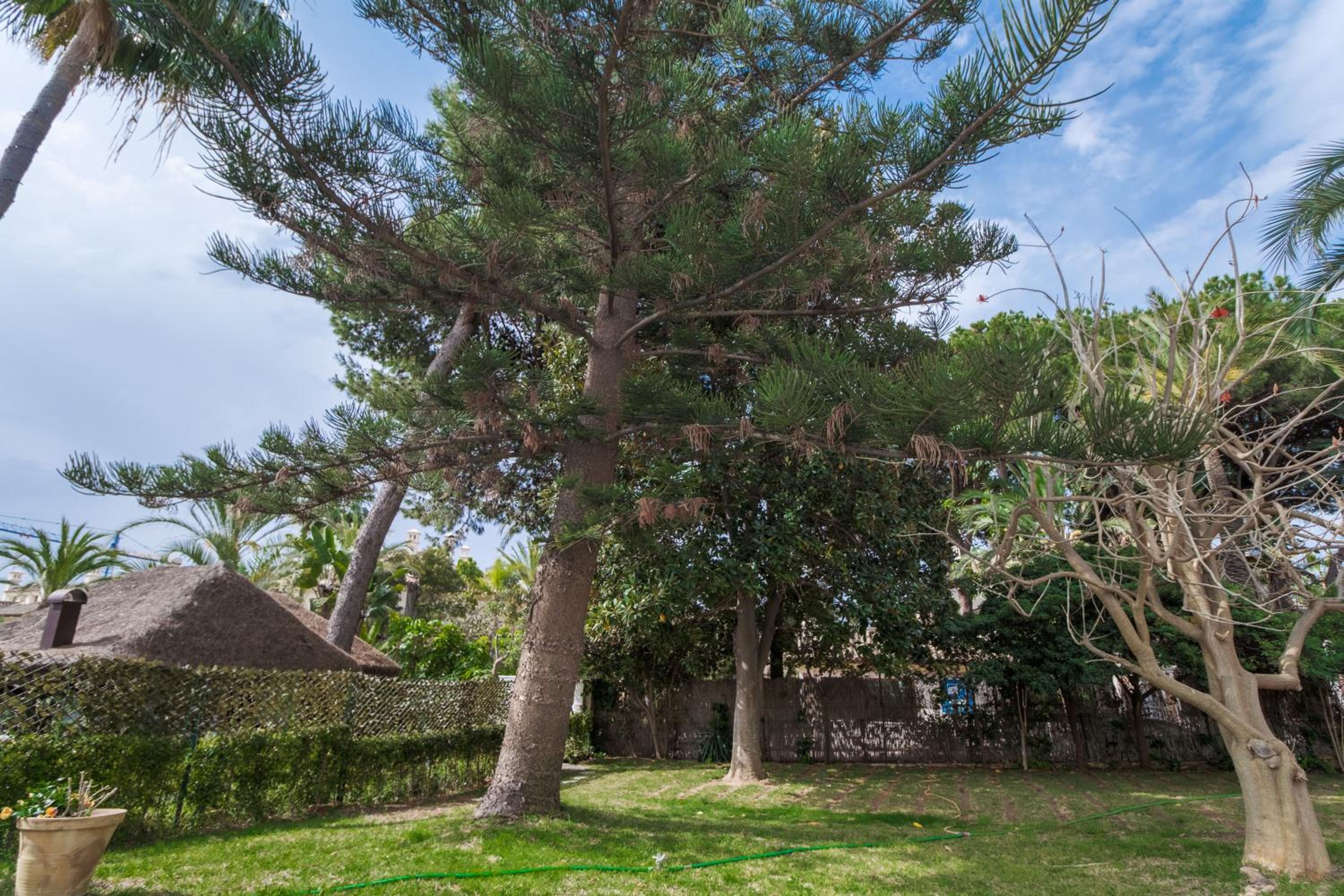 Casa Teresa